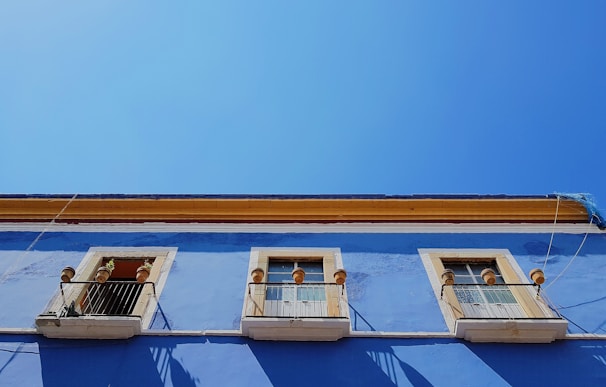 Exterior house facade showing vibrant blue paint with protective epoxy coating
