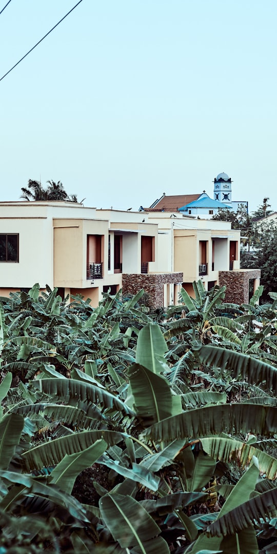 green plants beside beige concrete house during daytime in Sekondi-Takoradi Ghana