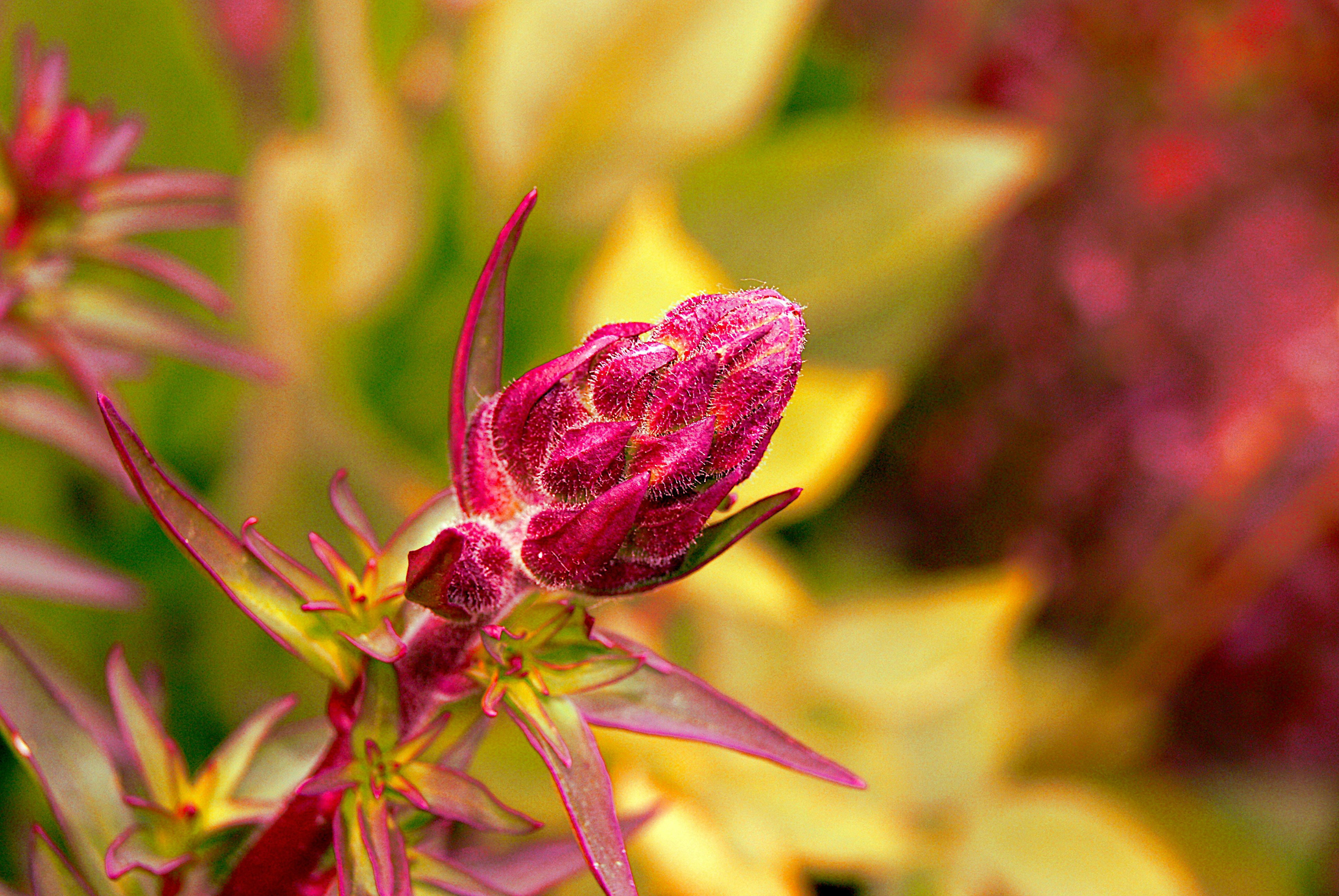 Photo by jasonflatt89