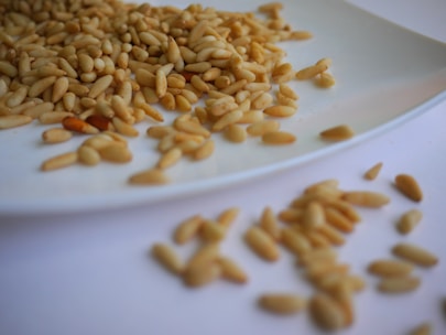 brown peanuts on white ceramic plate