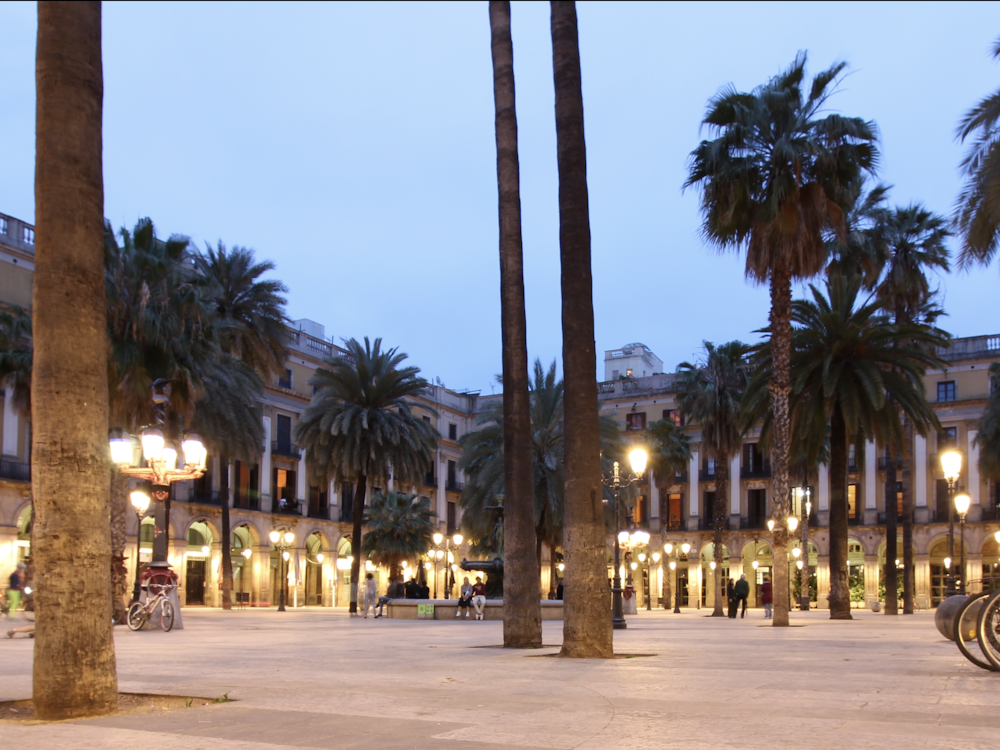 people walking on sidewalk near palm trees during night time