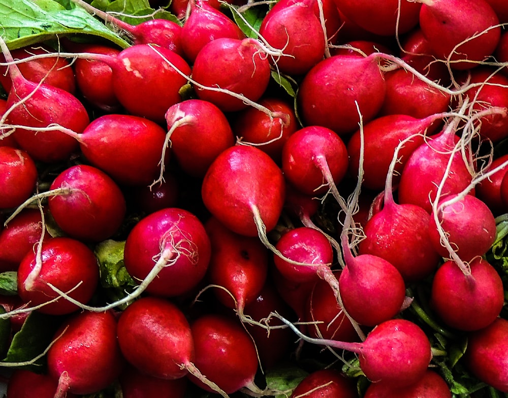 frutos rojos redondos sobre hierba verde