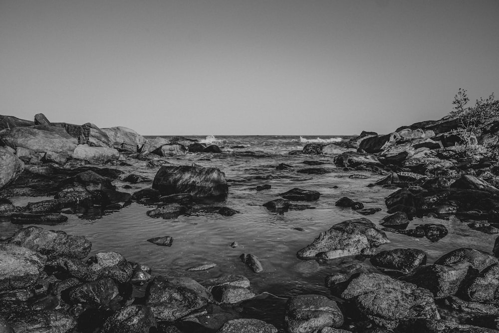 grayscale photo of rocky shore