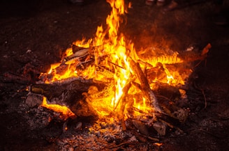 burning wood on brown soil