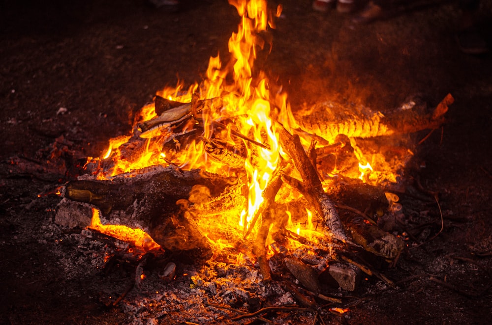 burning wood on brown soil