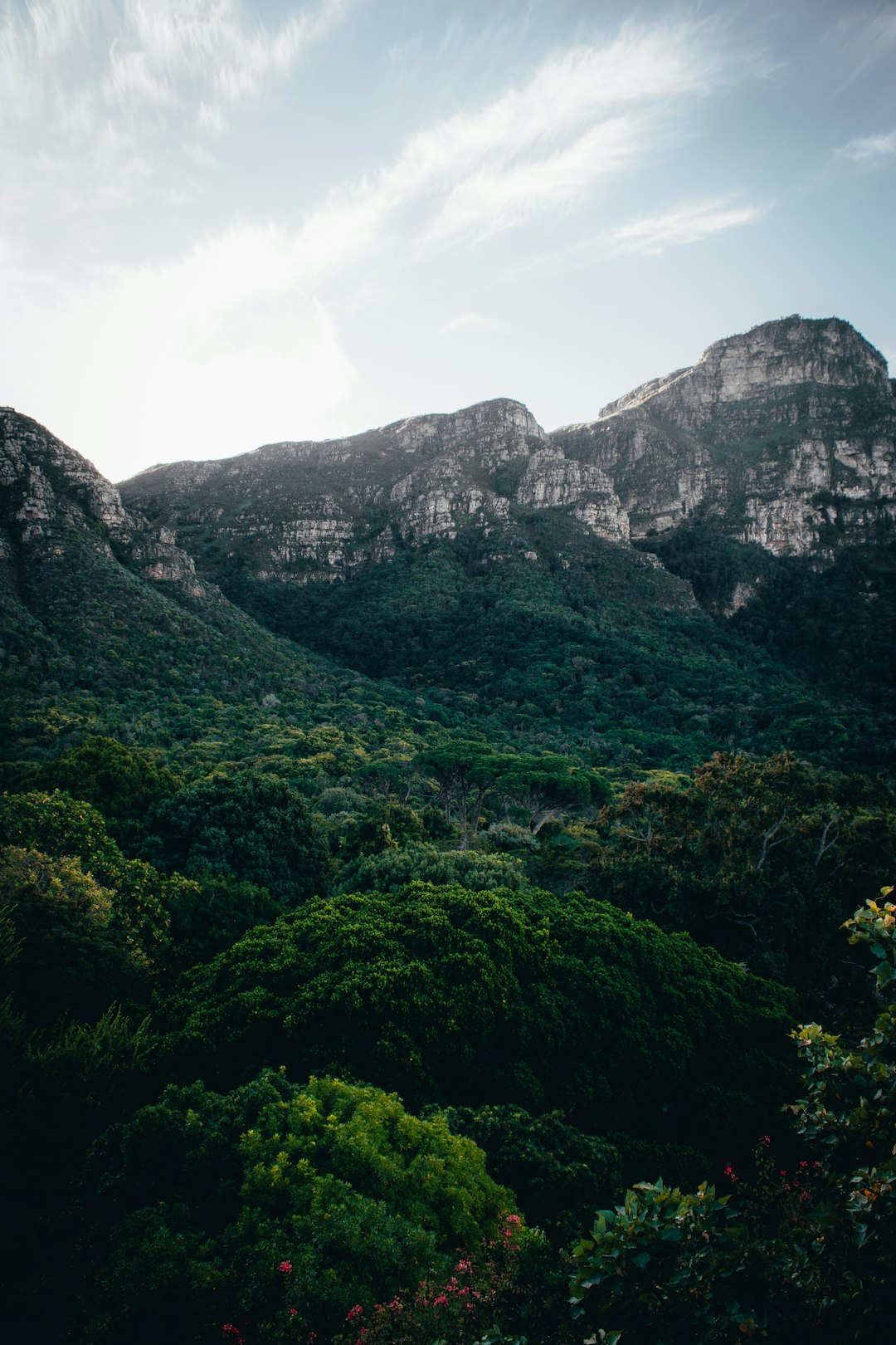 Hill station photo spot Kirstenbosch National Botanical Garden Franschhoek