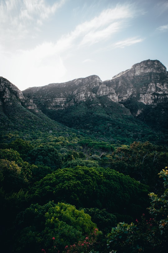 green and gray mountain under white clouds during daytime in Kirstenbosch National Botanical Garden South Africa