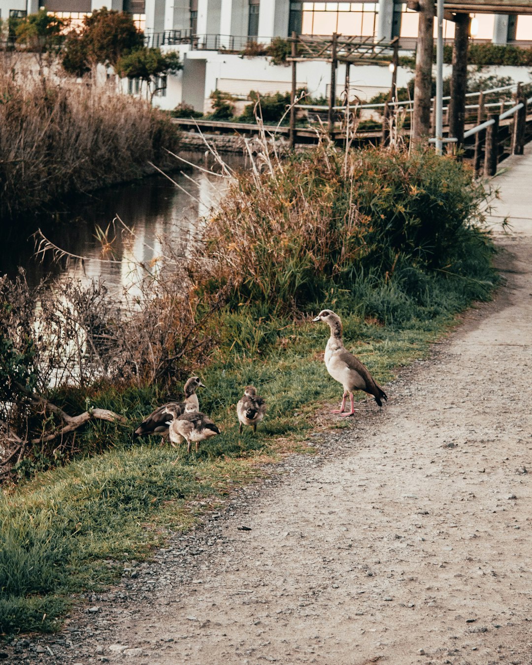 Waterway photo spot Century City South Atlantic Ocean