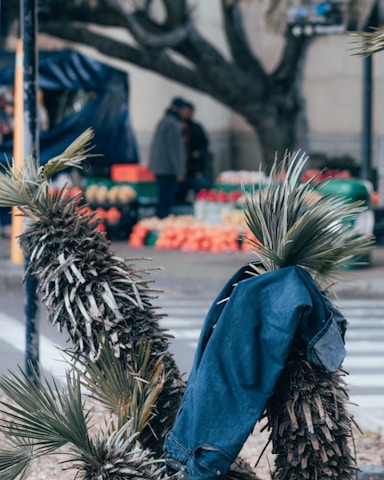 A pair of blue jeans draped over a spiky, palm-like plant. In the background, there's a bustling market scene with various fruits and vegetables displayed on tables. Two people stand in conversation amidst the market, and the scene takes place near a pedestrian crossing.