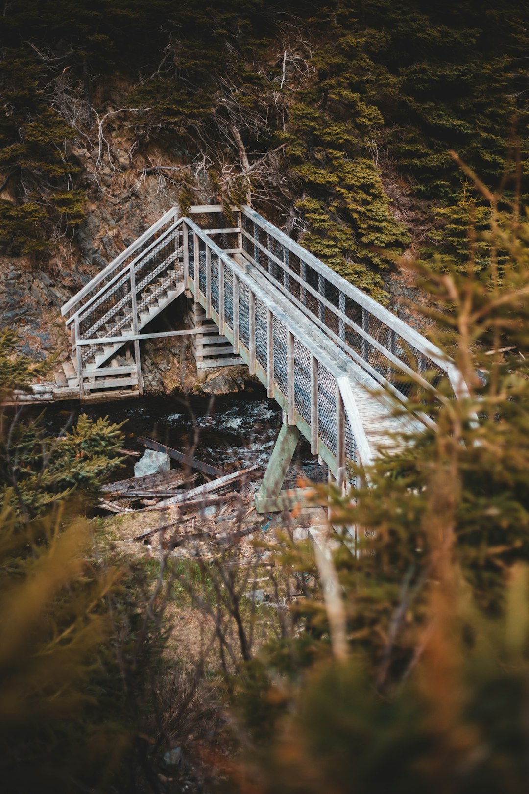 white wooden bridge over river