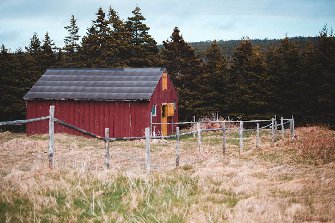 red and gray wooden barn house near green trees during daytime