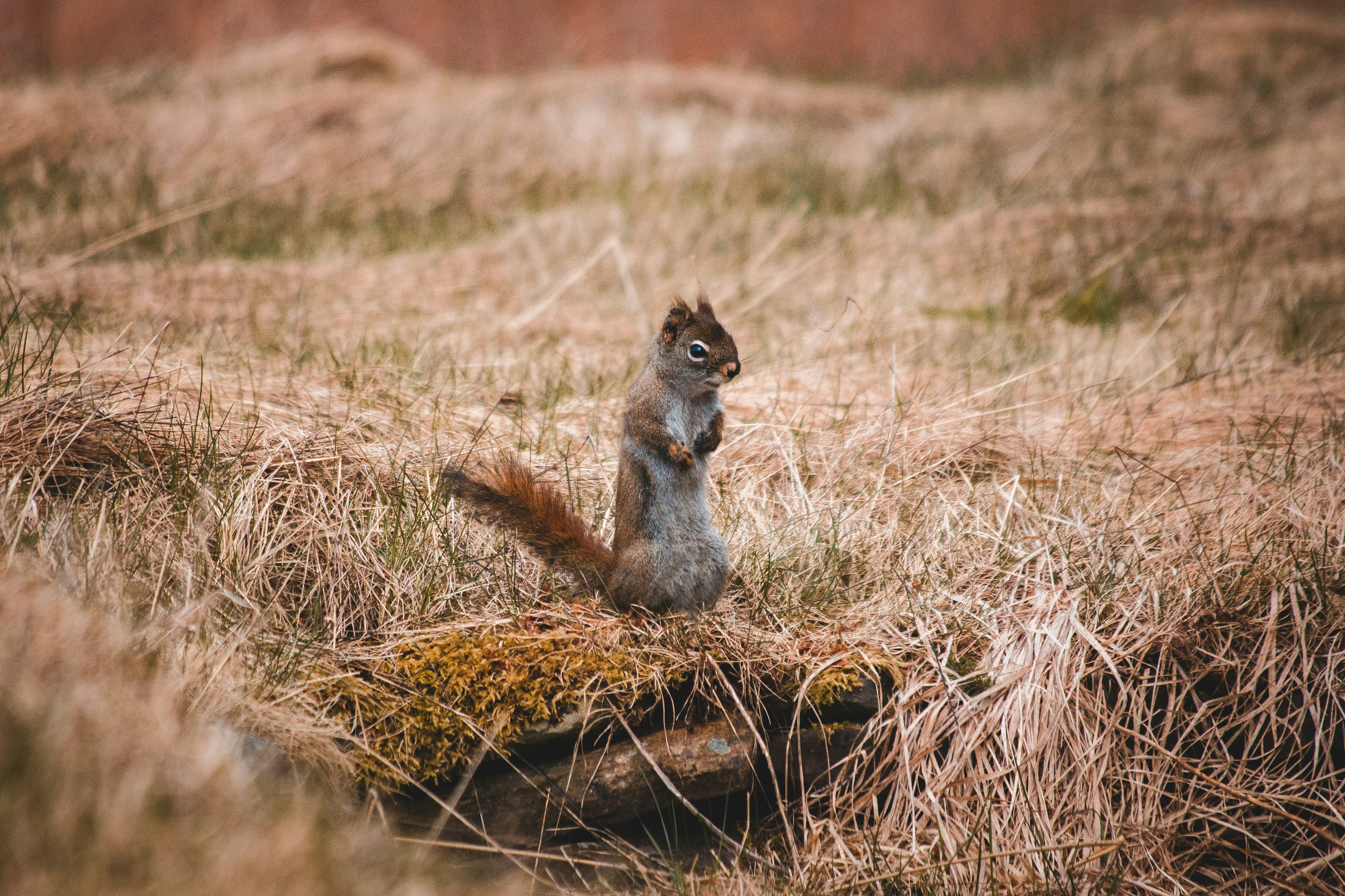 Photo by introspectivedsgn