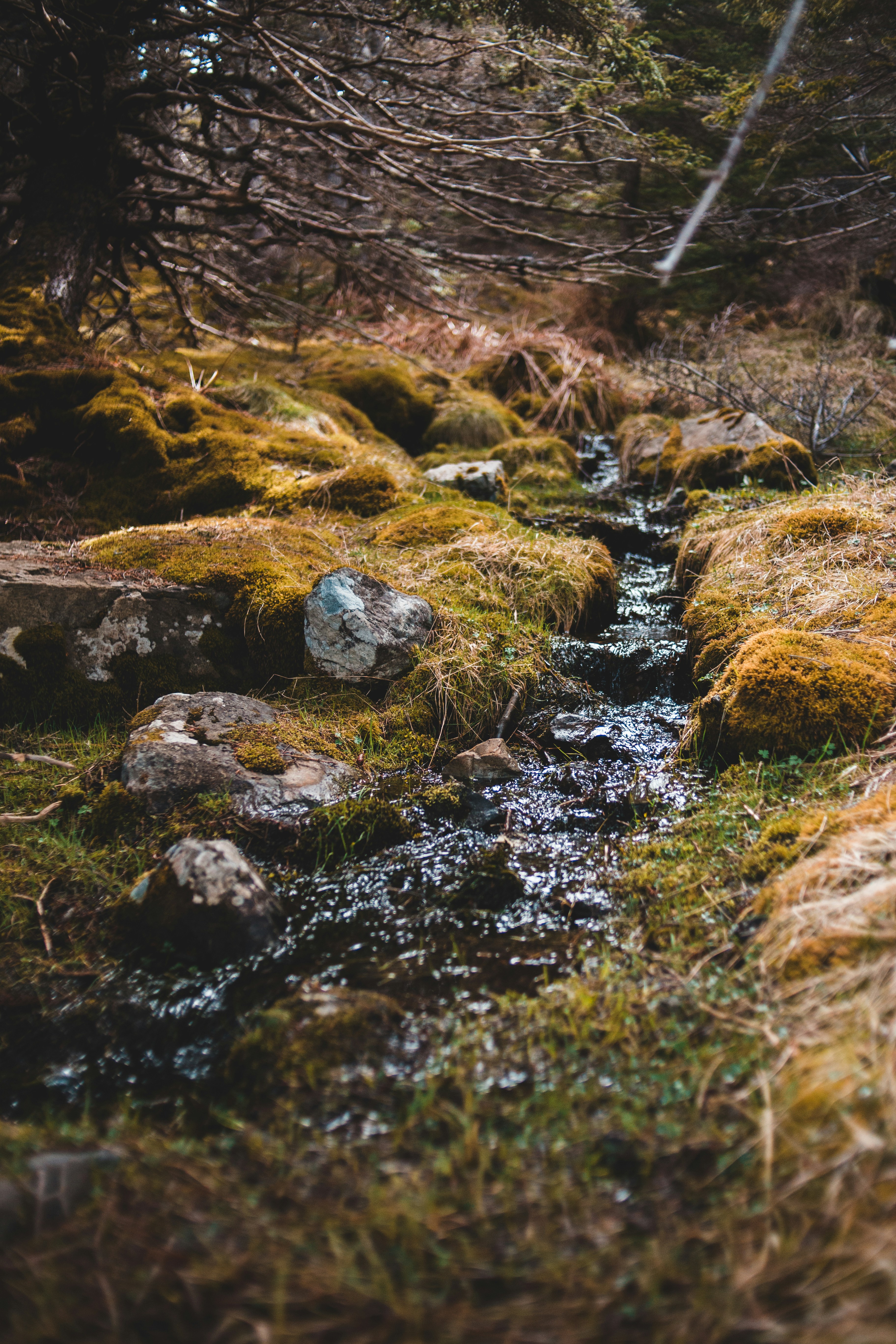 Photo by introspectivedsgn