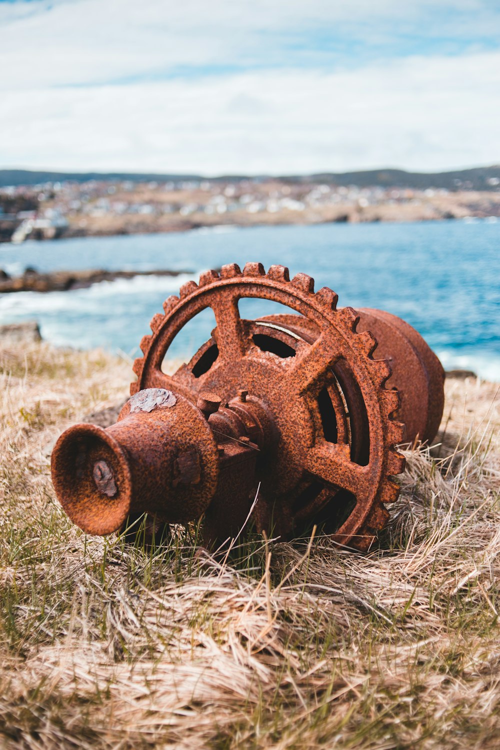 brown metal wheel on brown grass near sea during daytime