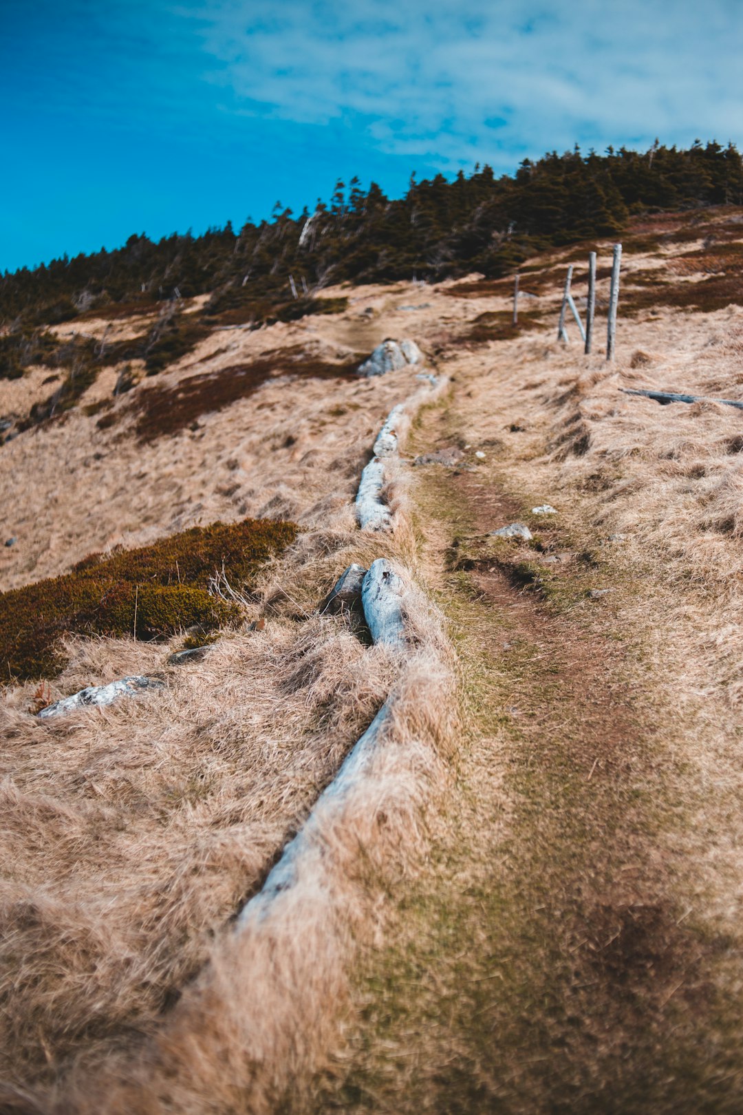 person walking on dirt road during daytime