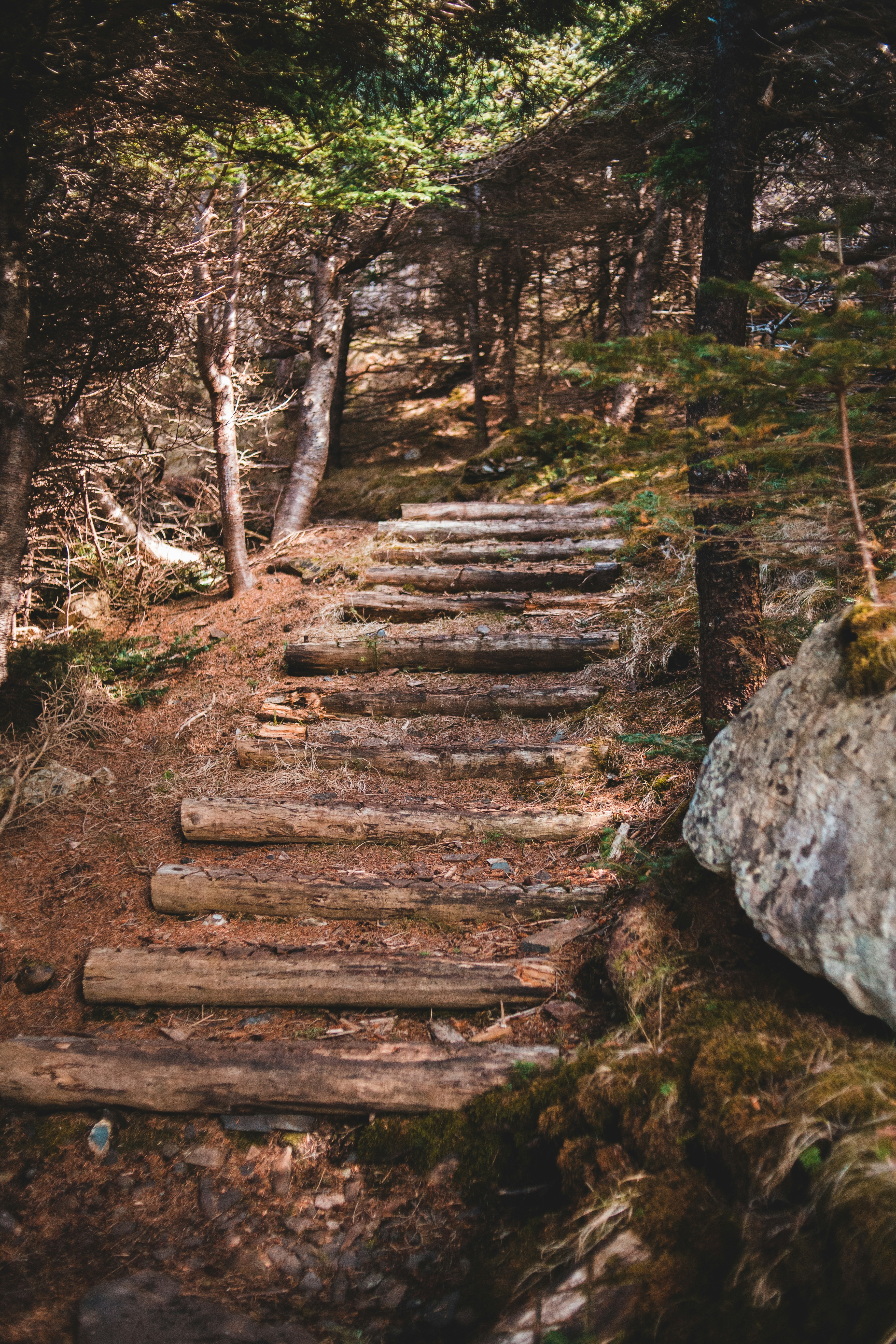 Photo by introspectivedsgn