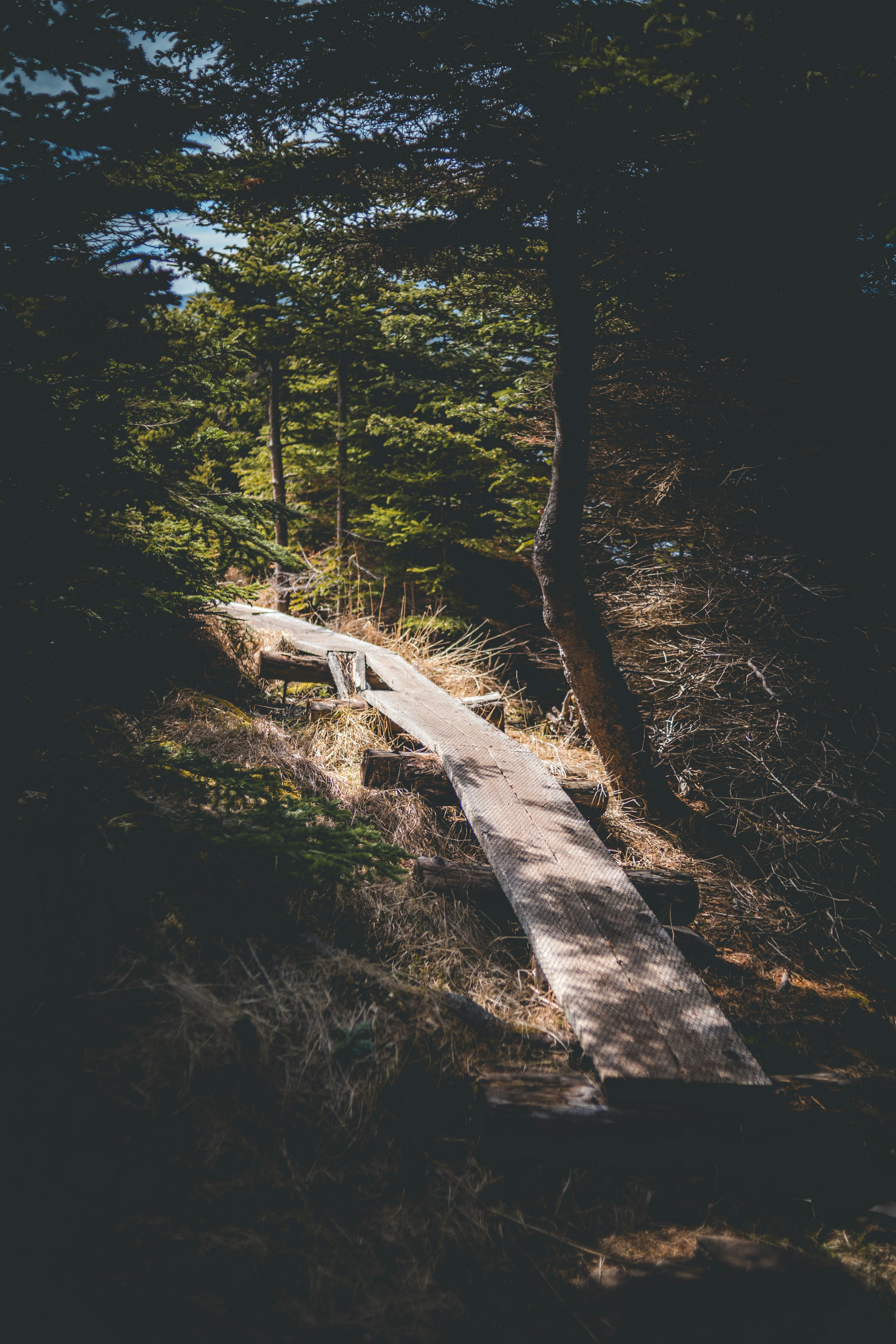 Photo by introspectivedsgn