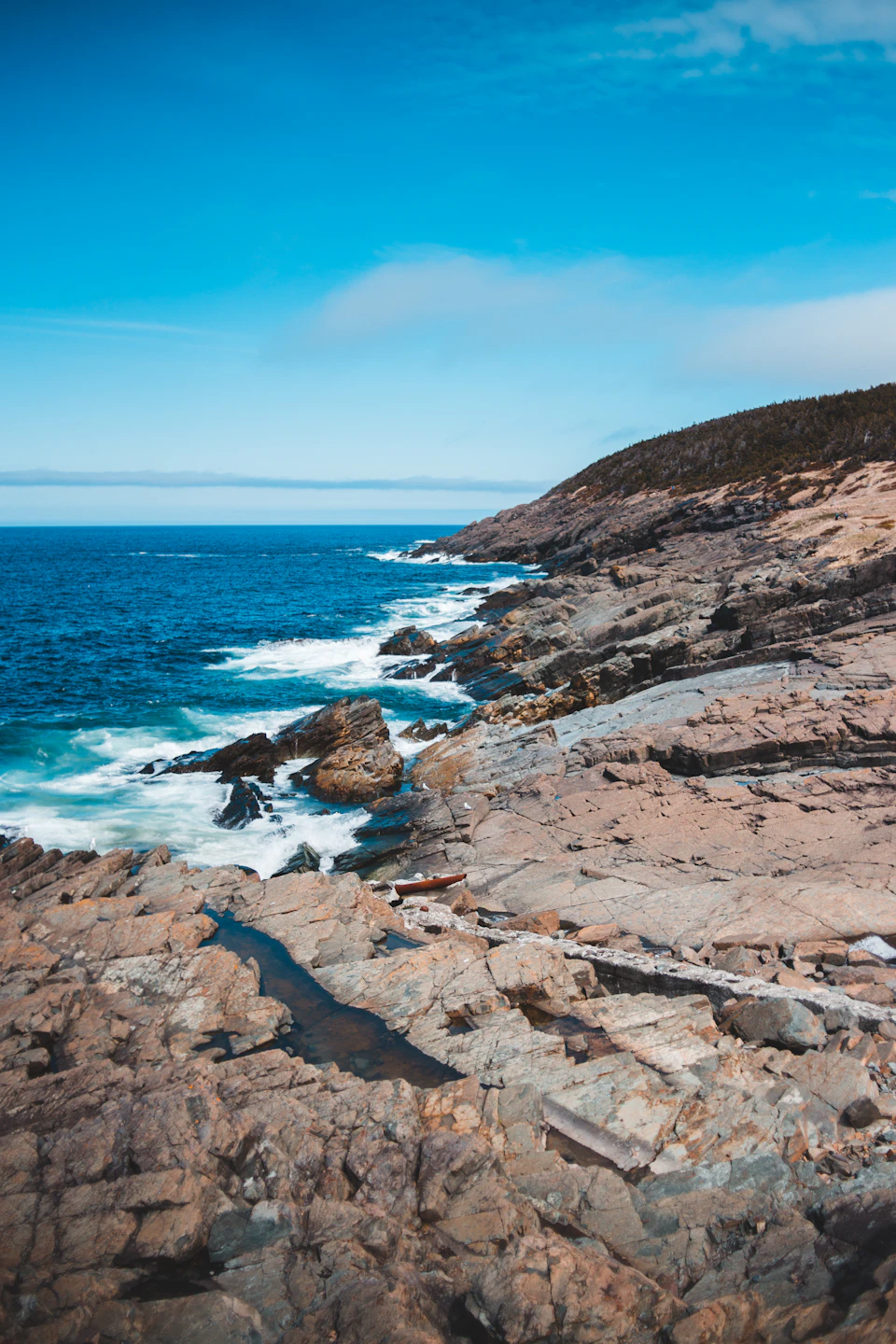 Rocky coastline with clear blue sky and lush vegetation on shore stretching into distance