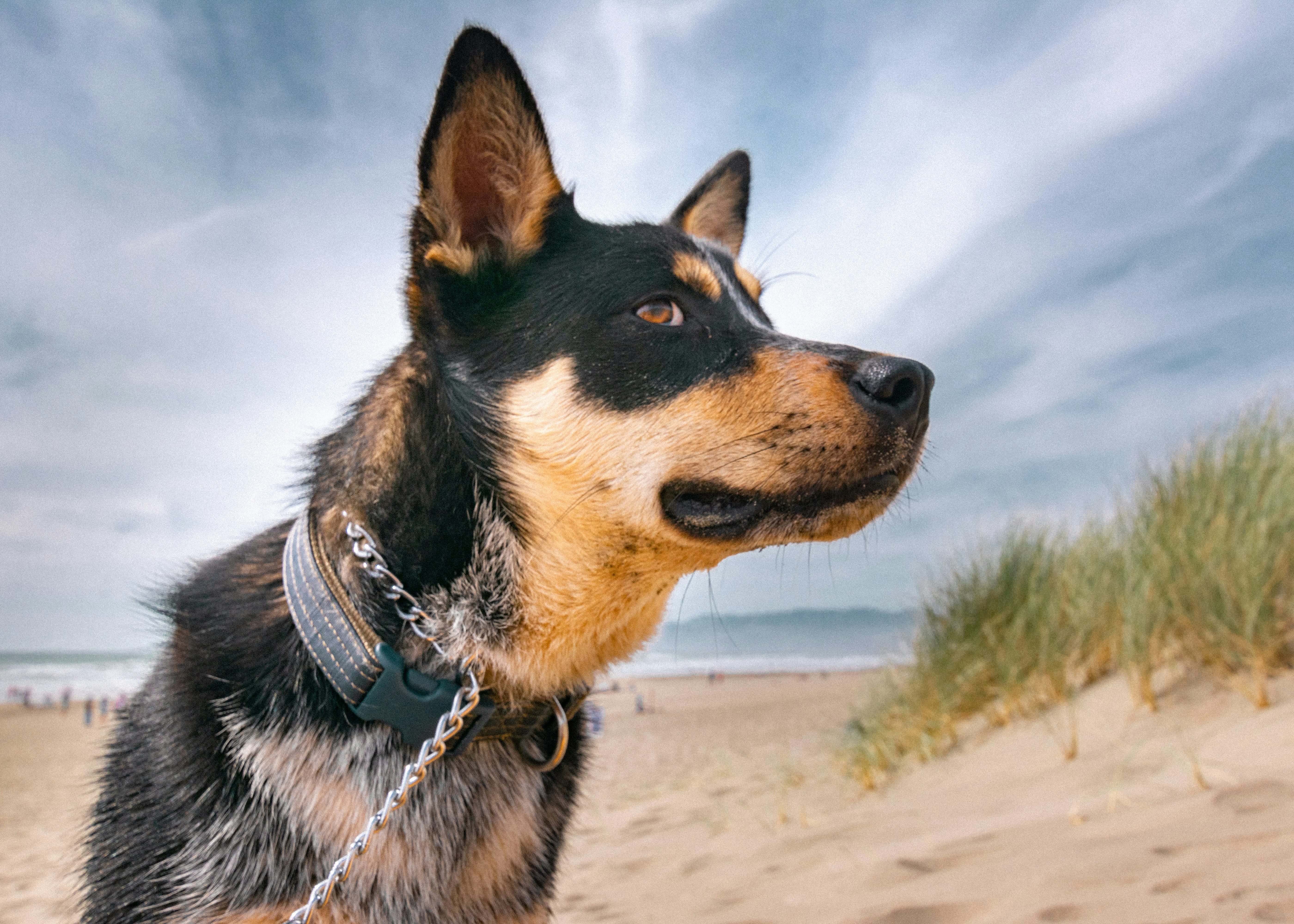 Photo by patrickperkins