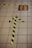 A tiled floor featuring a black and yellow striped tape arrow pointing forward. Adjacent to the arrow is a square marked with footprints inside a yellow and purple rectangle. Another piece of black and yellow tape runs horizontally across the tiles.