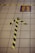 A tiled floor featuring a black and yellow striped tape arrow pointing forward. Adjacent to the arrow is a square marked with footprints inside a yellow and purple rectangle. Another piece of black and yellow tape runs horizontally across the tiles.