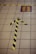 A tiled floor featuring a black and yellow striped tape arrow pointing forward. Adjacent to the arrow is a square marked with footprints inside a yellow and purple rectangle. Another piece of black and yellow tape runs horizontally across the tiles.