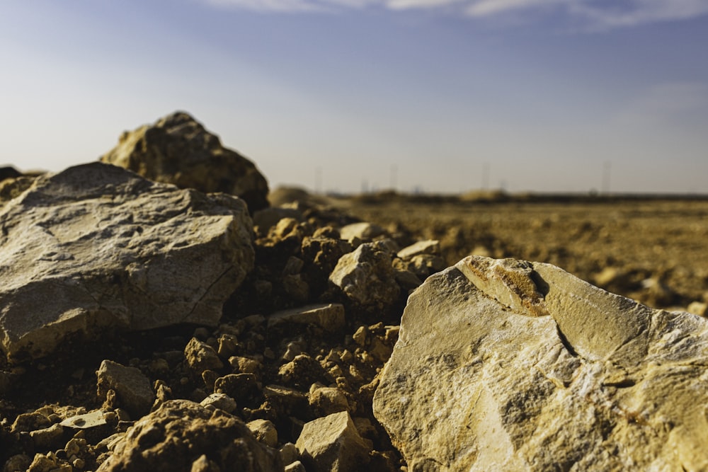 brown and gray rock formation during daytime