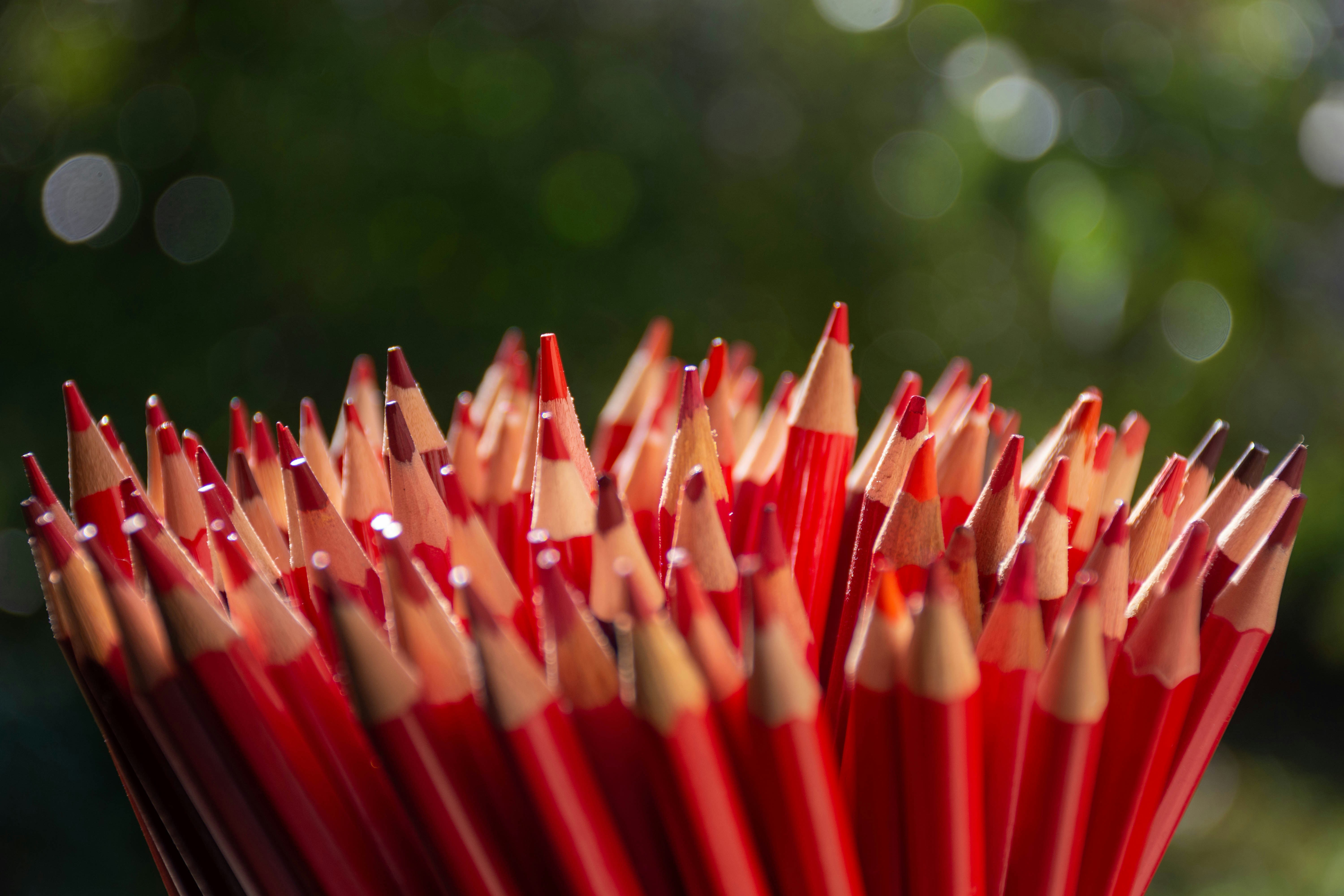 pink and yellow pencils on green grass during daytime