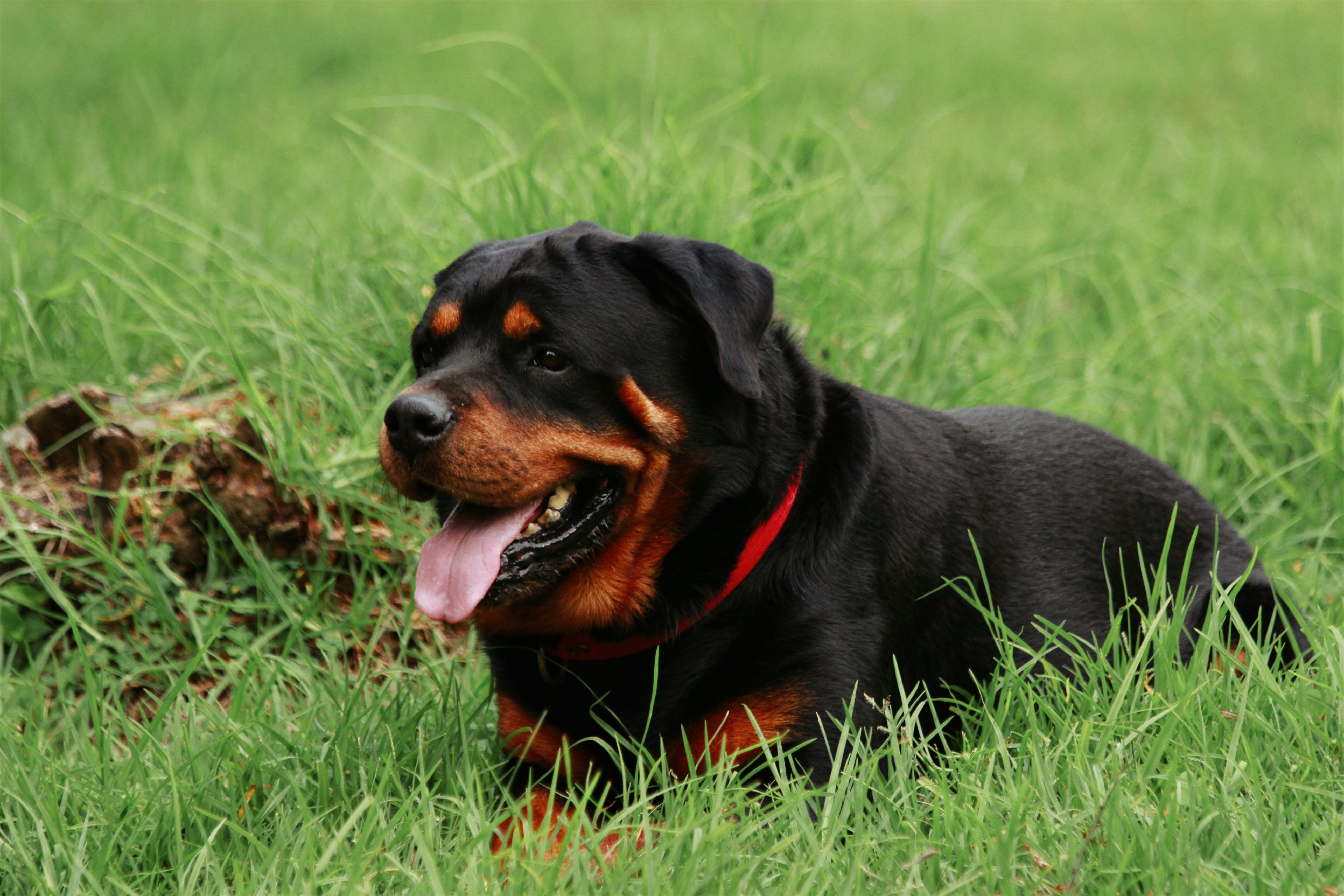 Photo by nataliarestrepol