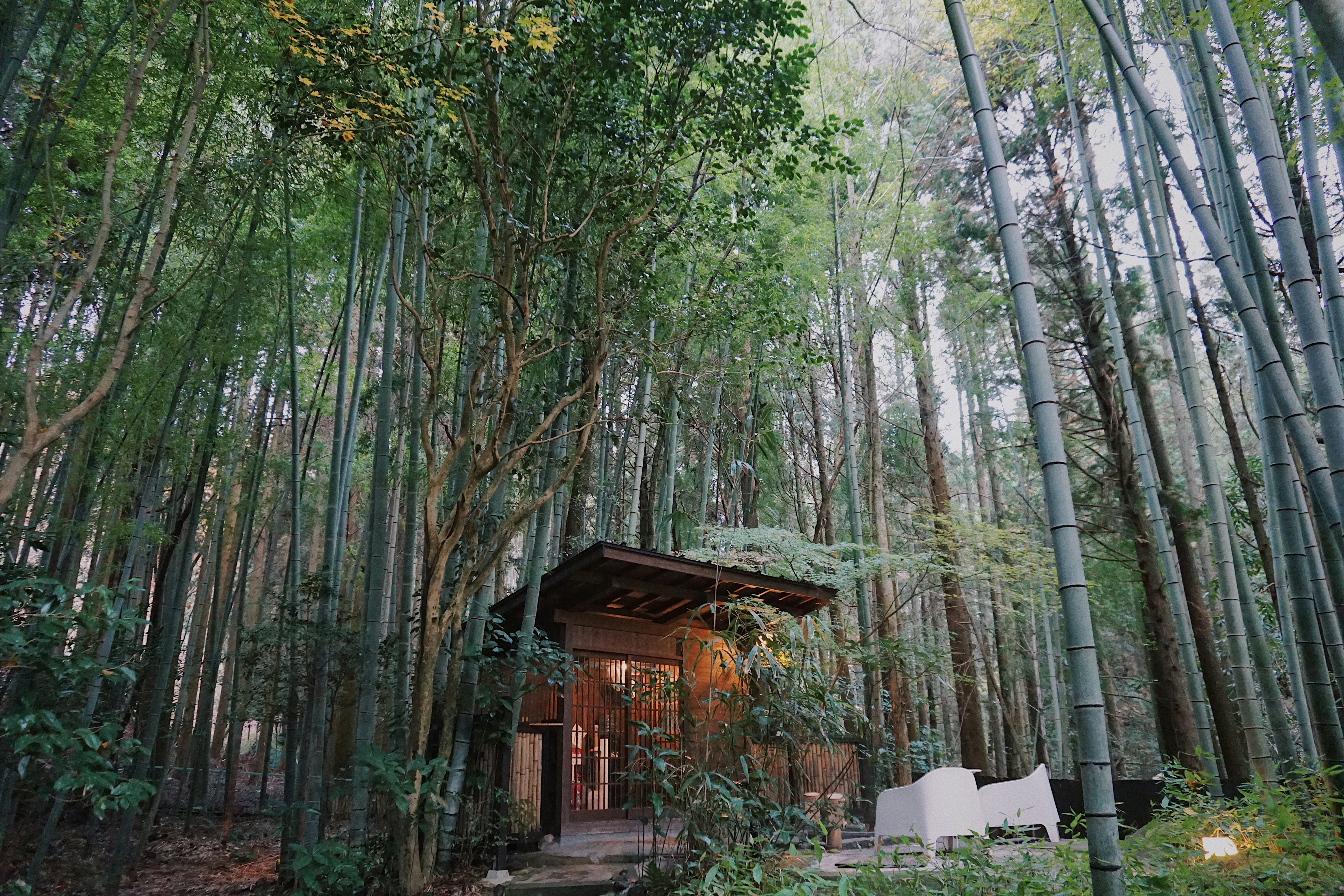 Japanese forest glamping and nature retreat