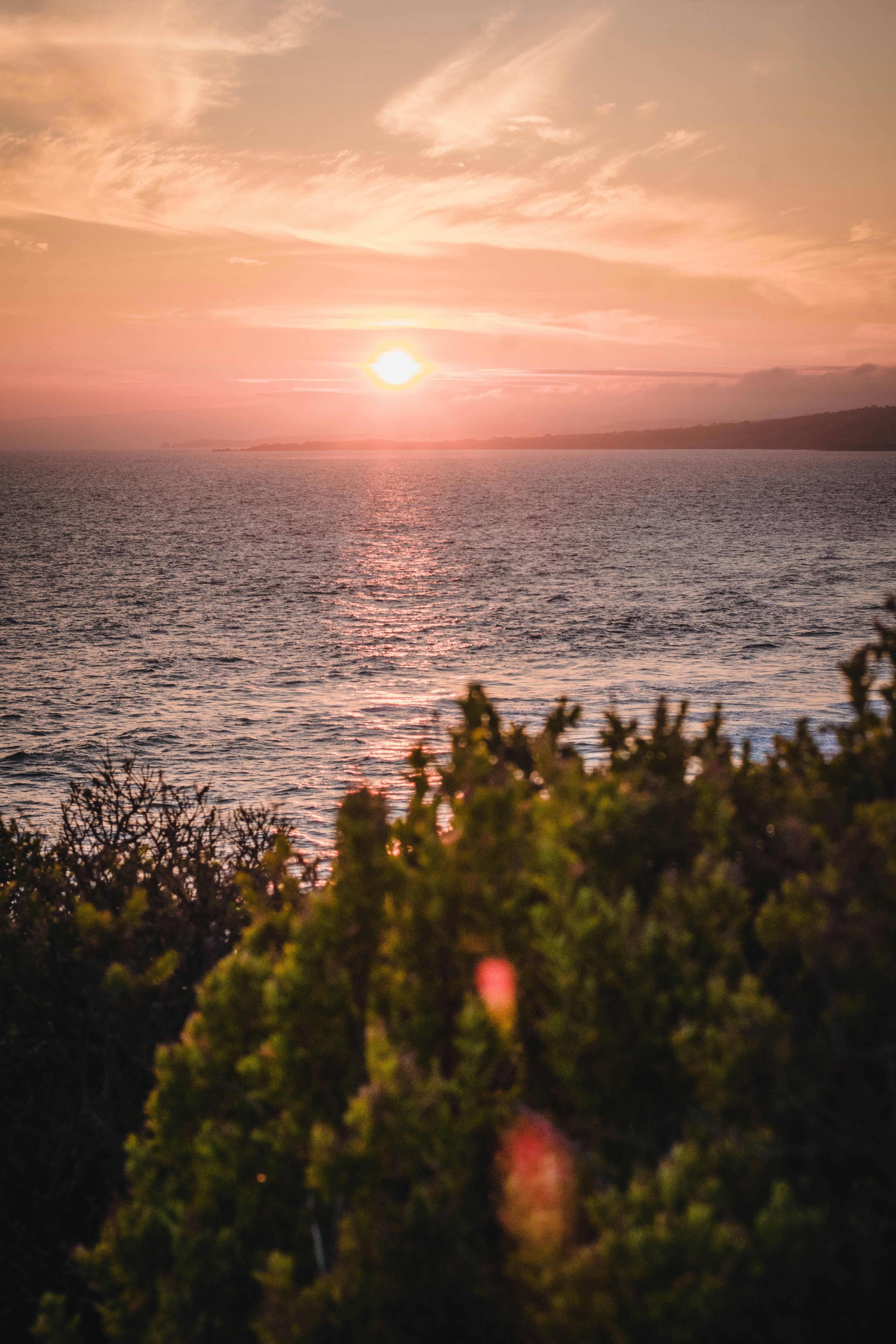 Photo by flynneddwards