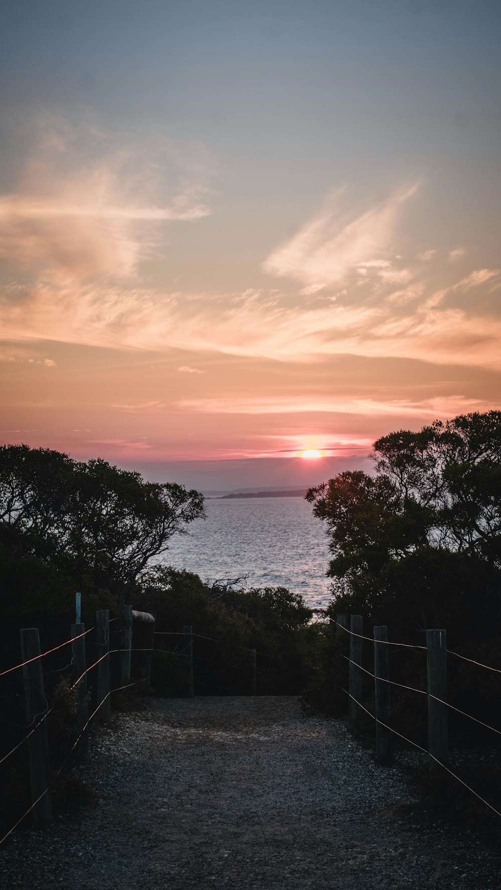 green trees near body of water during sunset