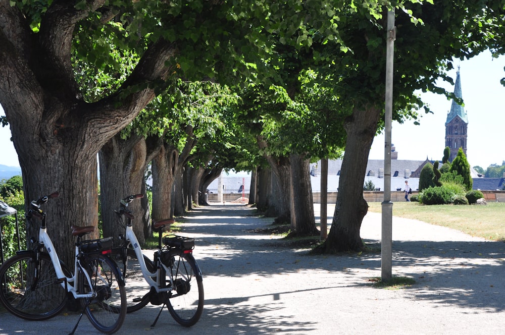 black motorcycle parked beside green tree during daytime