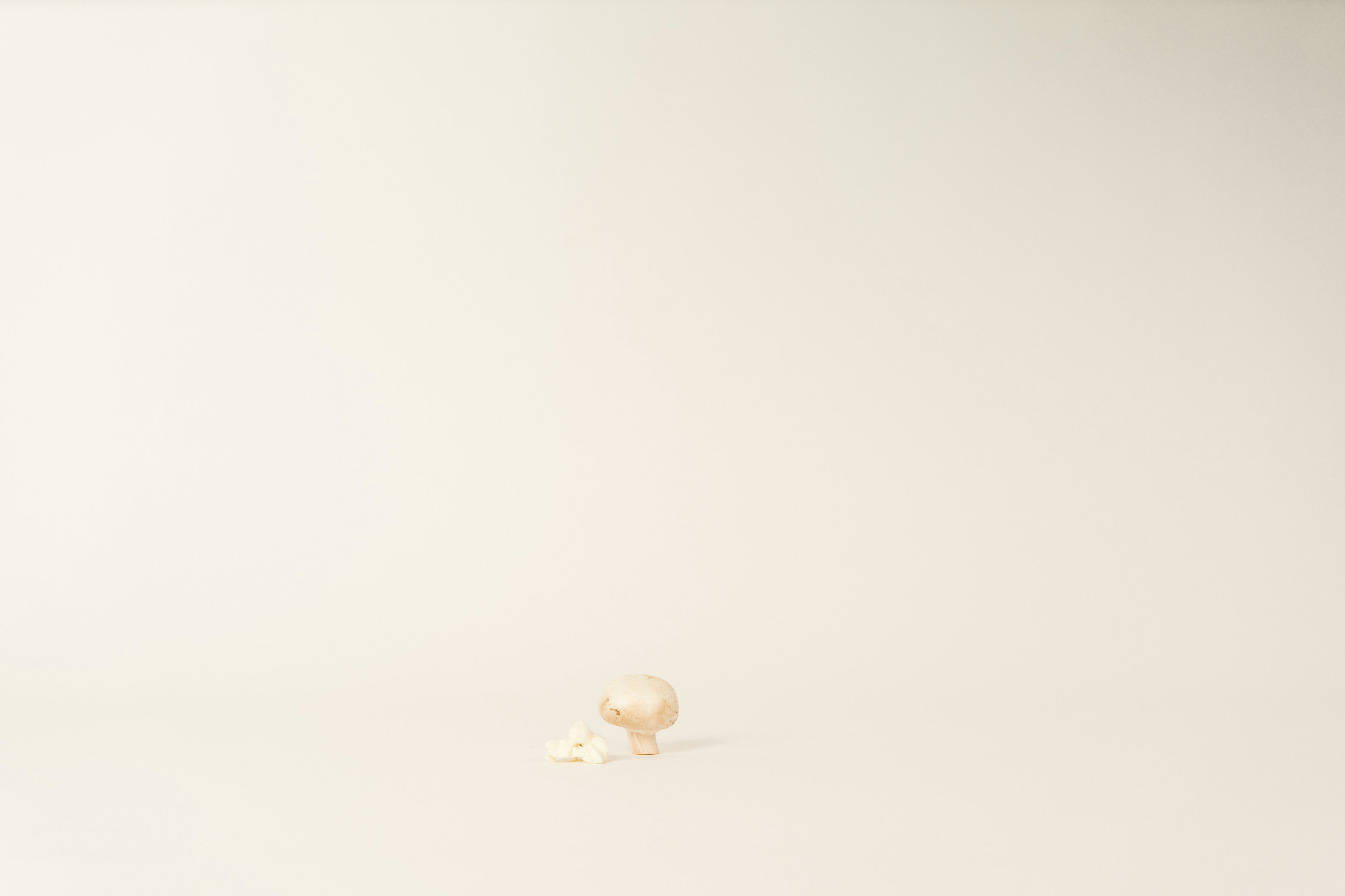 Photo by masahiro_naruse