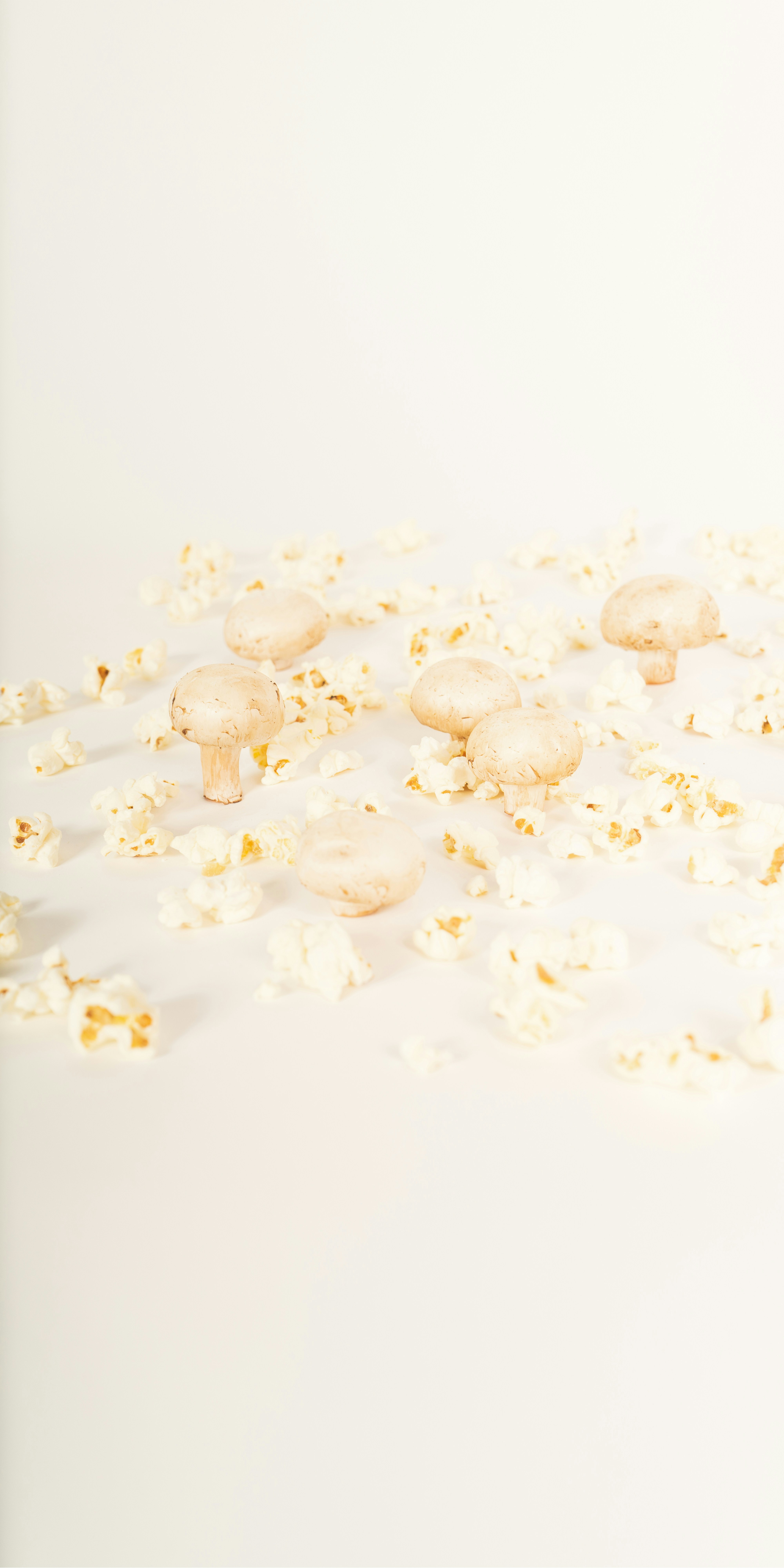 Photo by masahiro_naruse