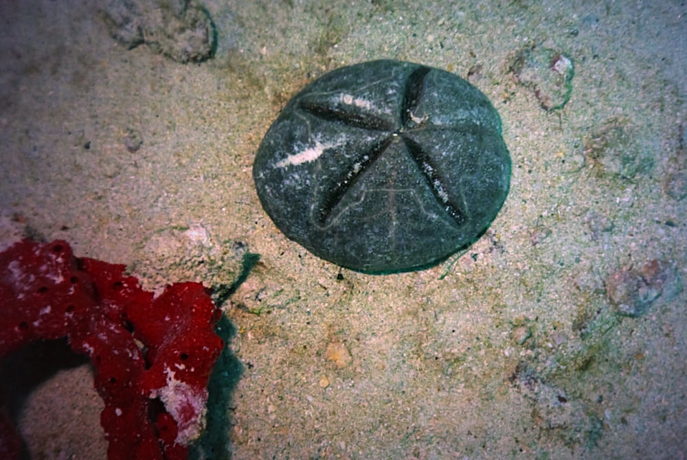 Schwarzer runder Stein auf grauem Sand