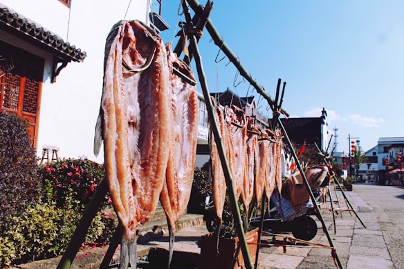 Several fish fillets are hanging from bamboo poles, drying in the sun. They are arranged along the side of a building in a traditional or rustic setting. Nearby, potted plants and red flowers add a touch of color. The sky is clear and blue, indicating a sunny day.