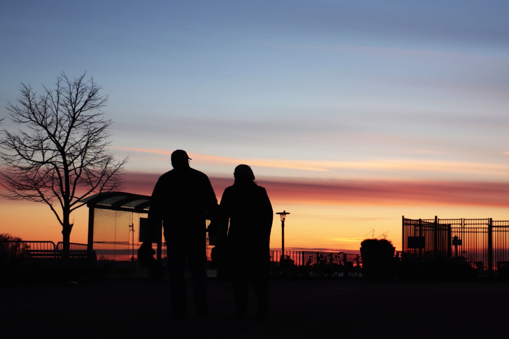 silhouette of 2 person standing near bare trees during sunset