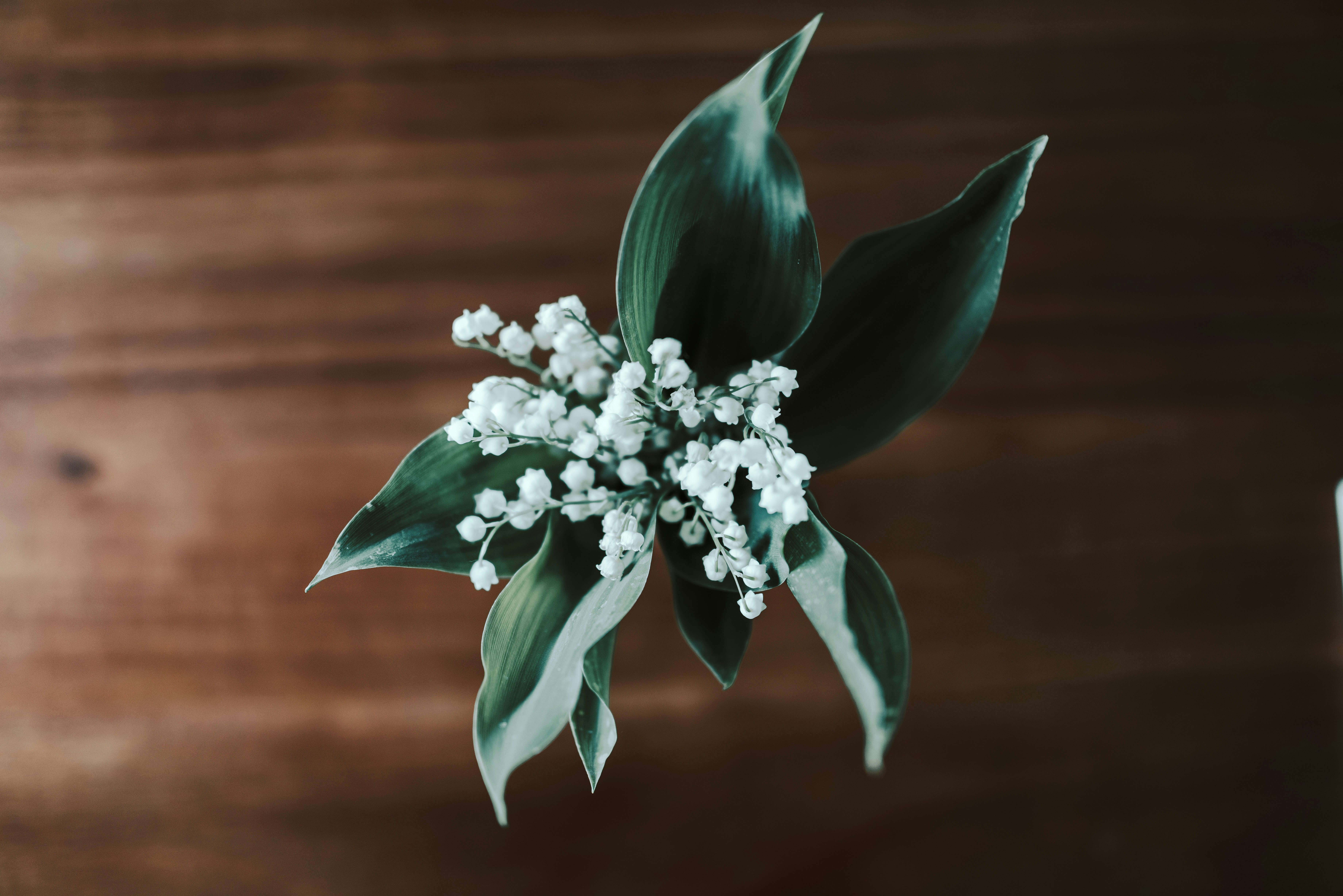 Photo by seitamaaphotography