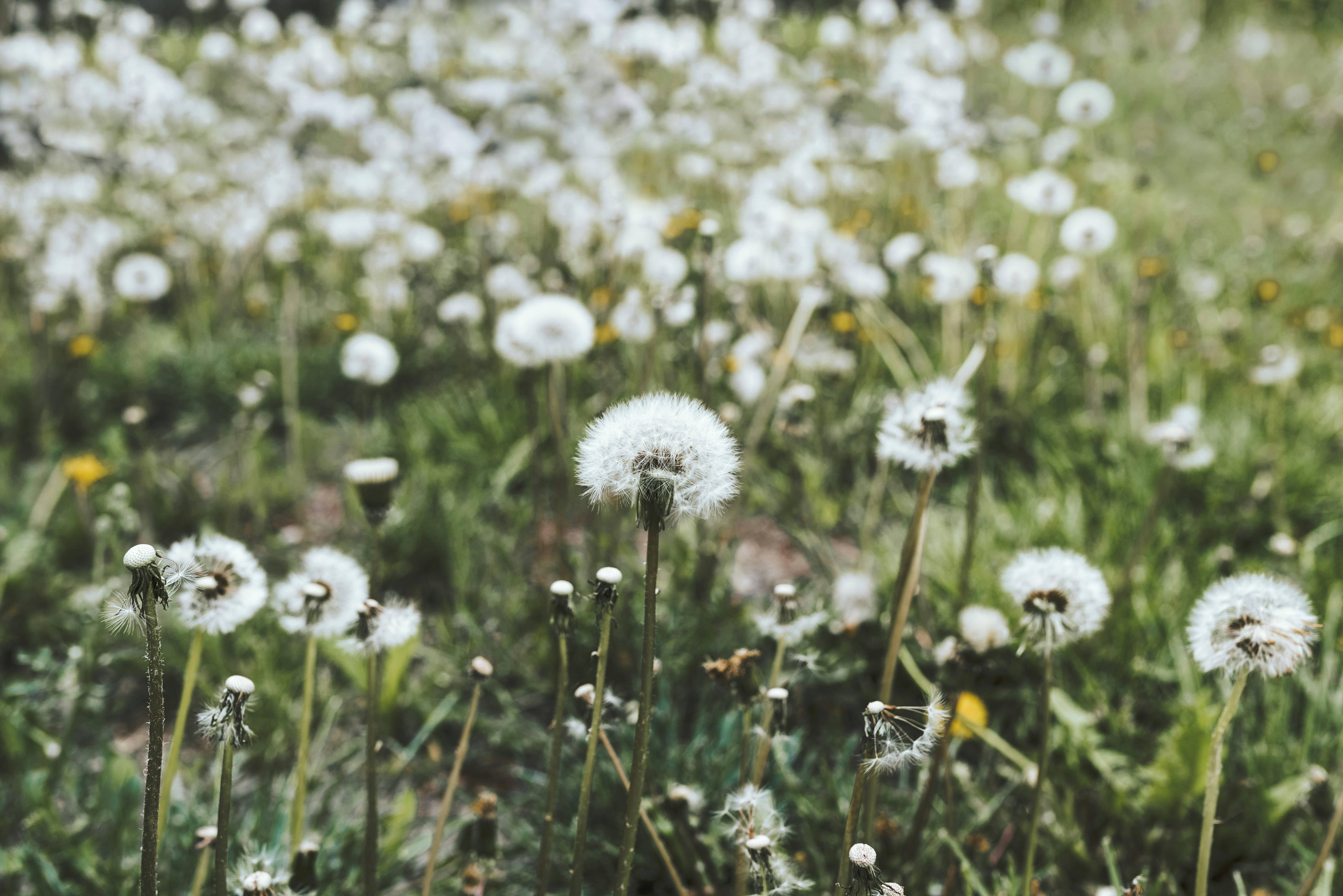 Photo by seitamaaphotography