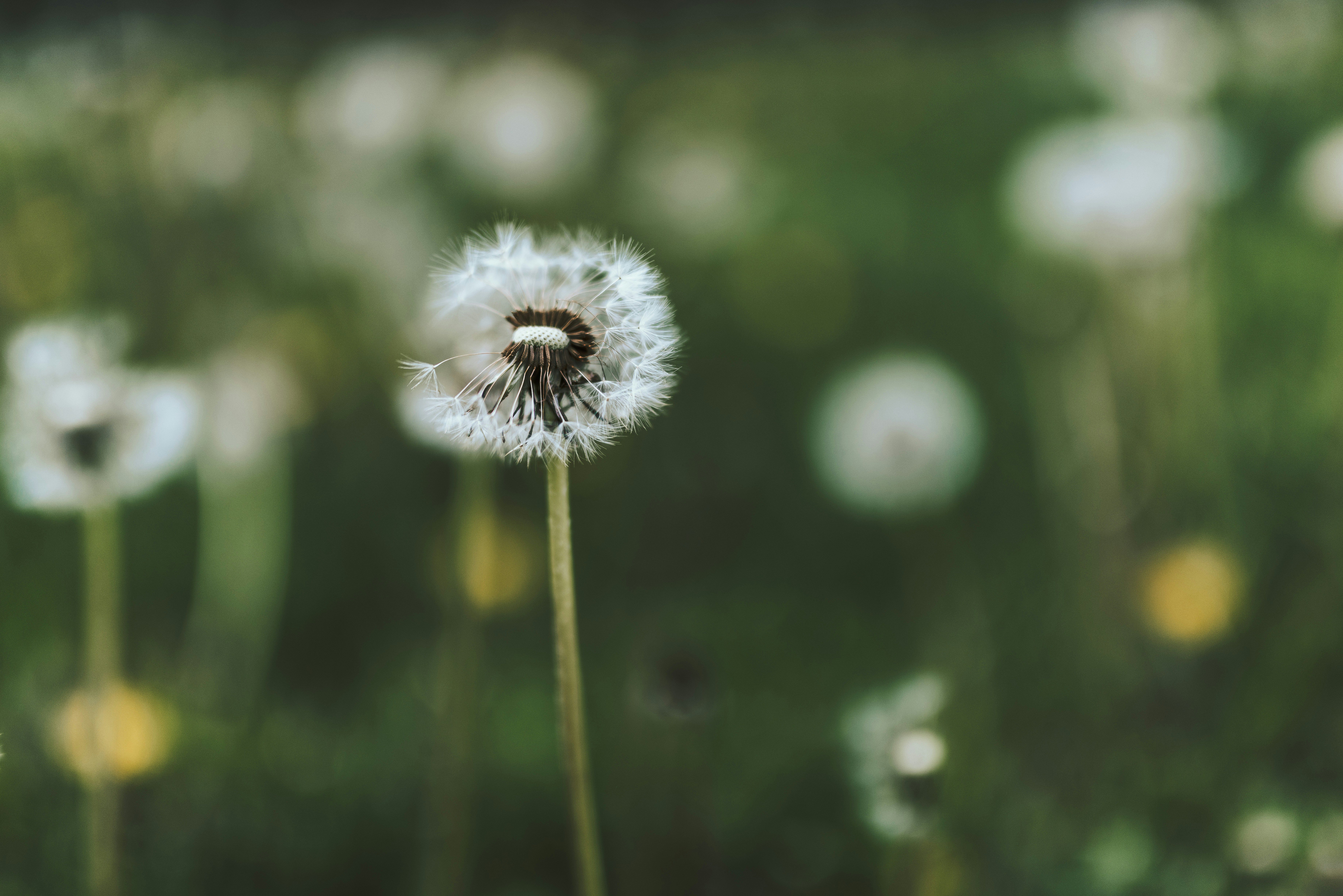 Photo by seitamaaphotography