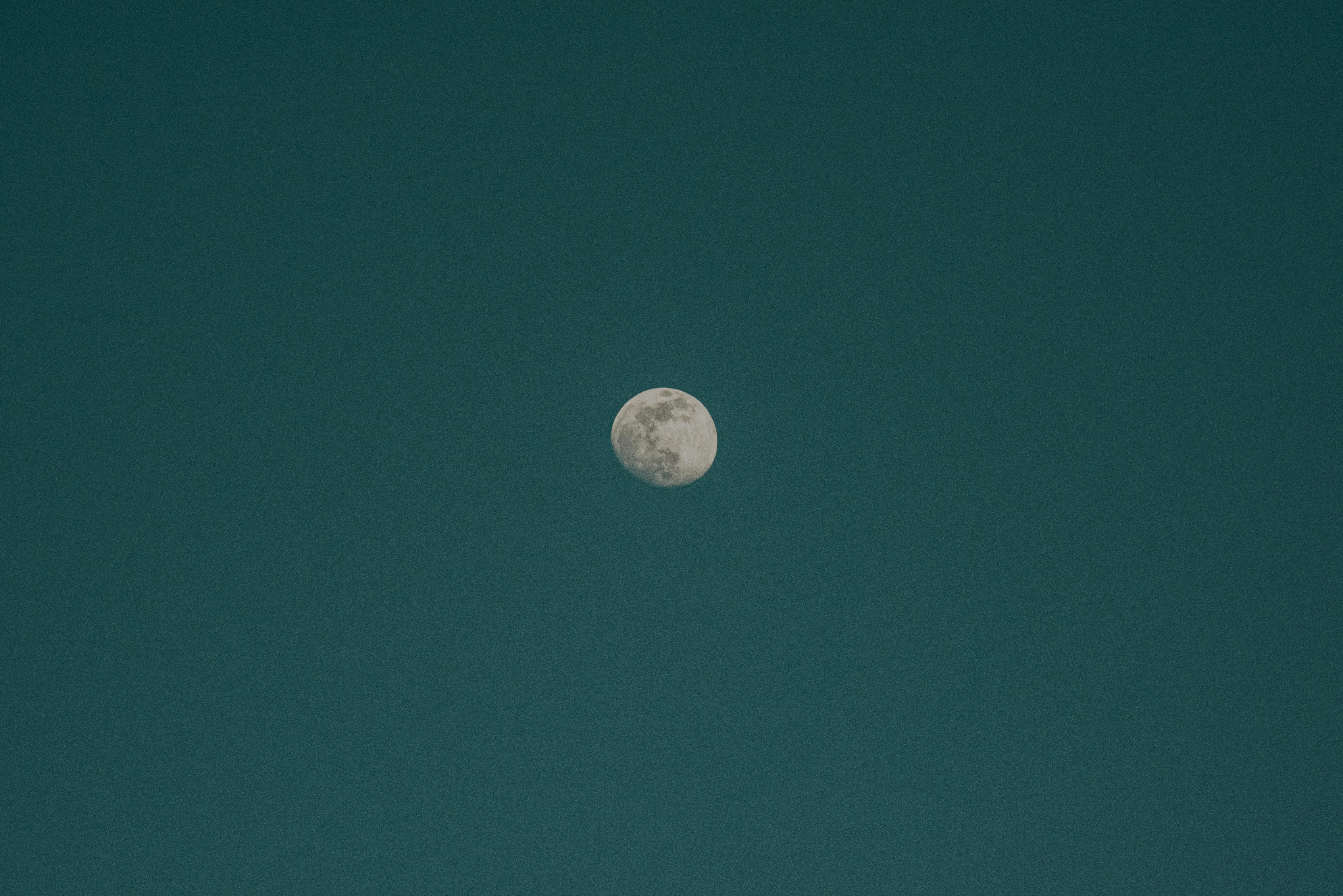 Photo by seitamaaphotography