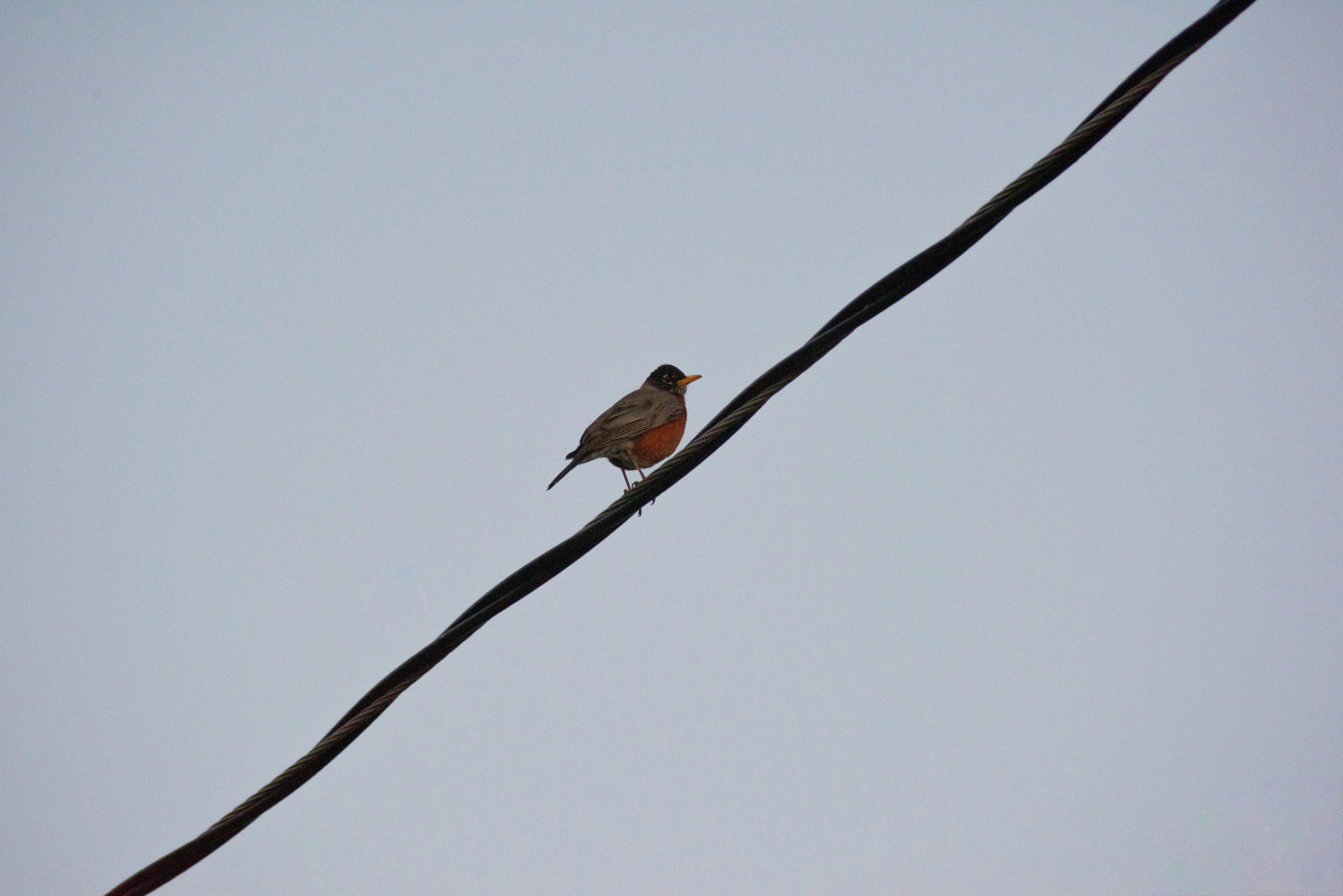 Photo by seitamaaphotography