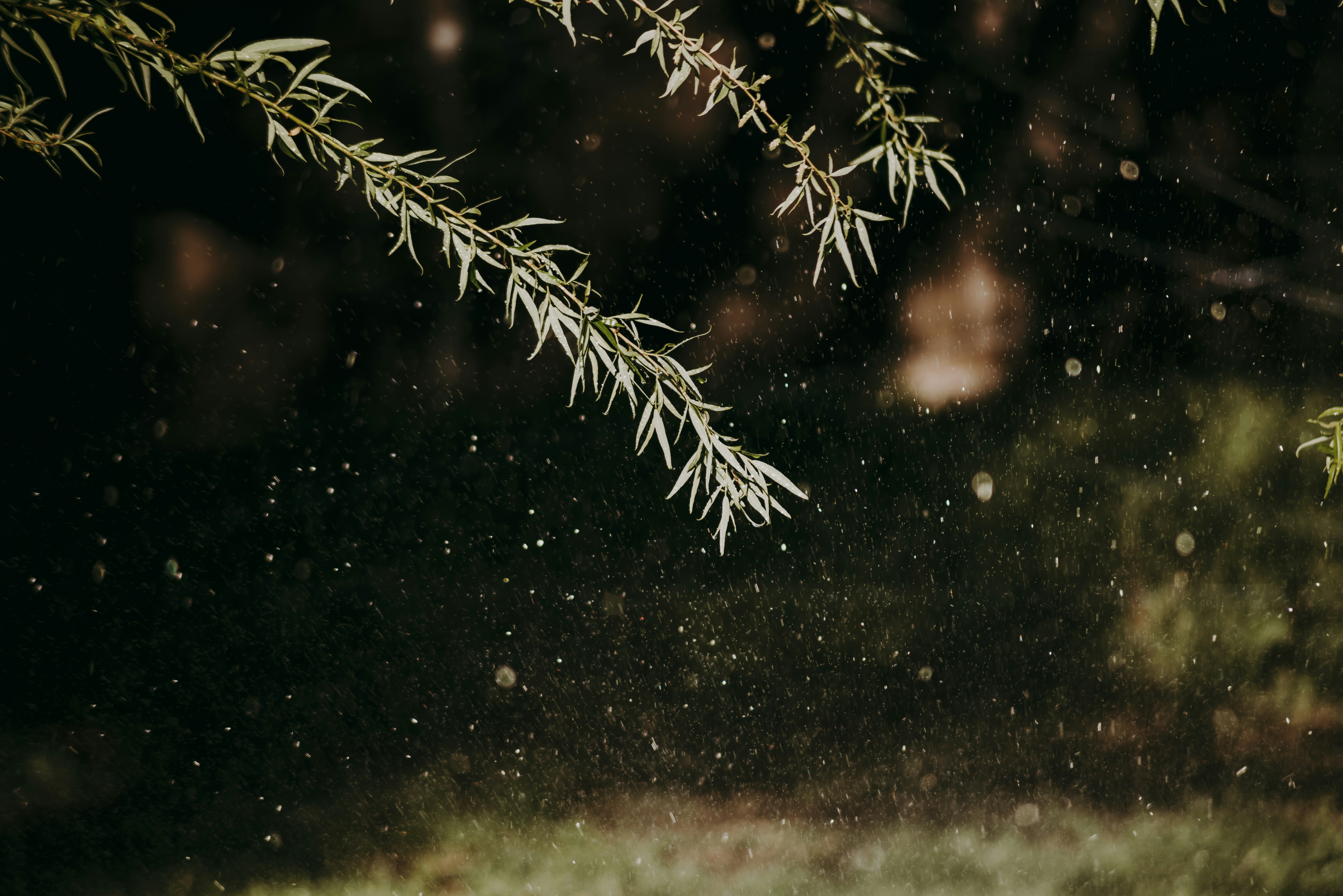 Photo by seitamaaphotography