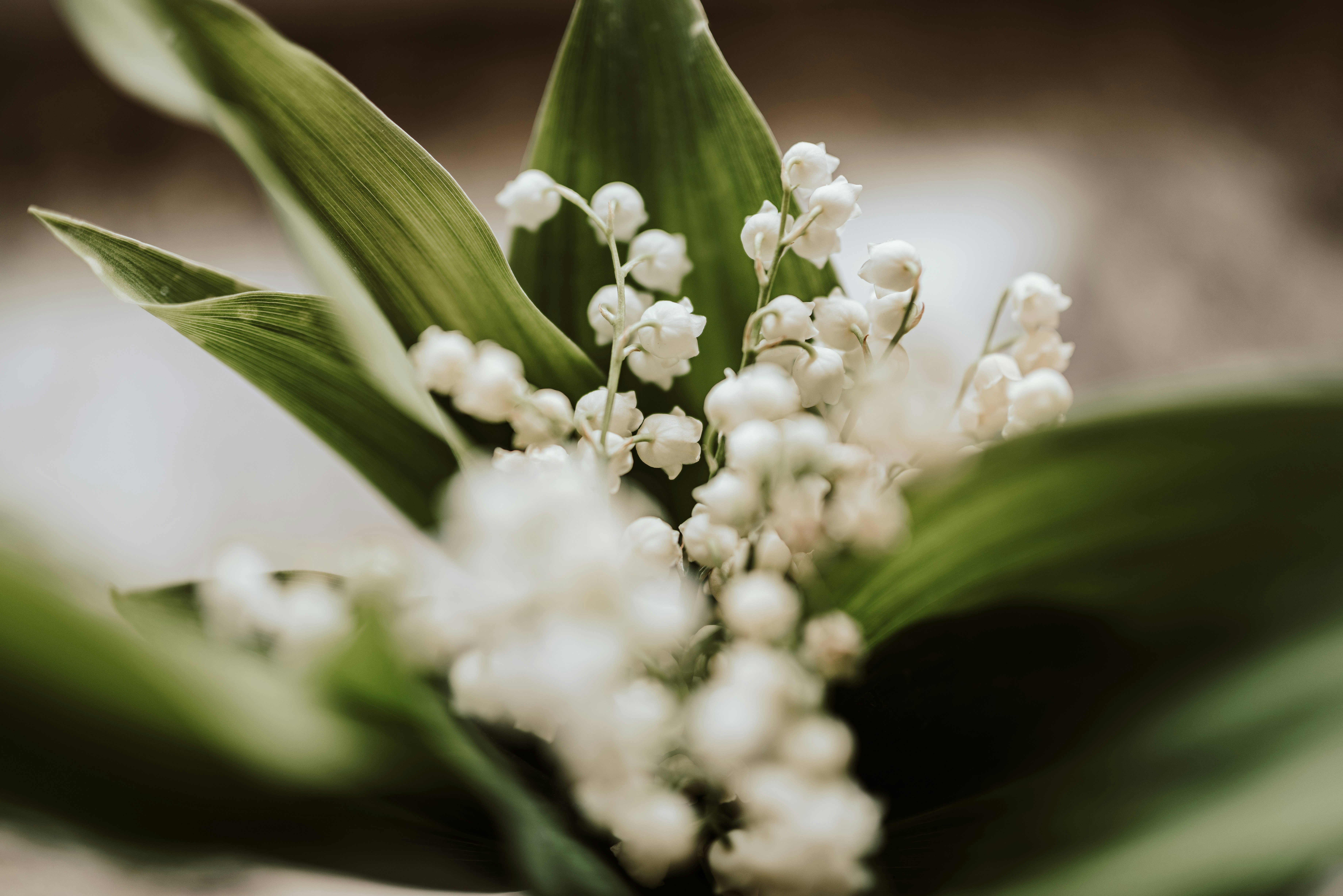 Photo by seitamaaphotography