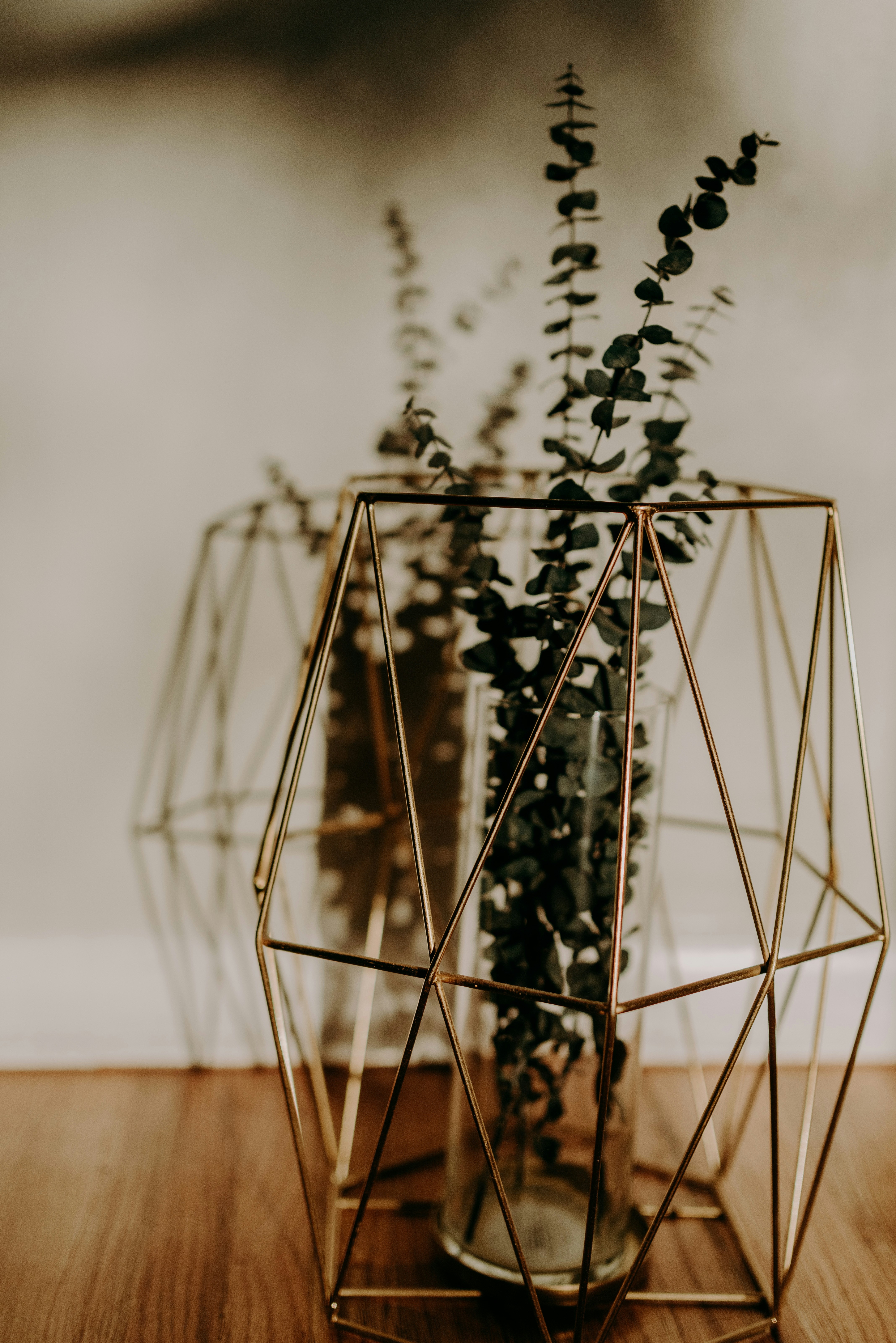 Photo by seitamaaphotography