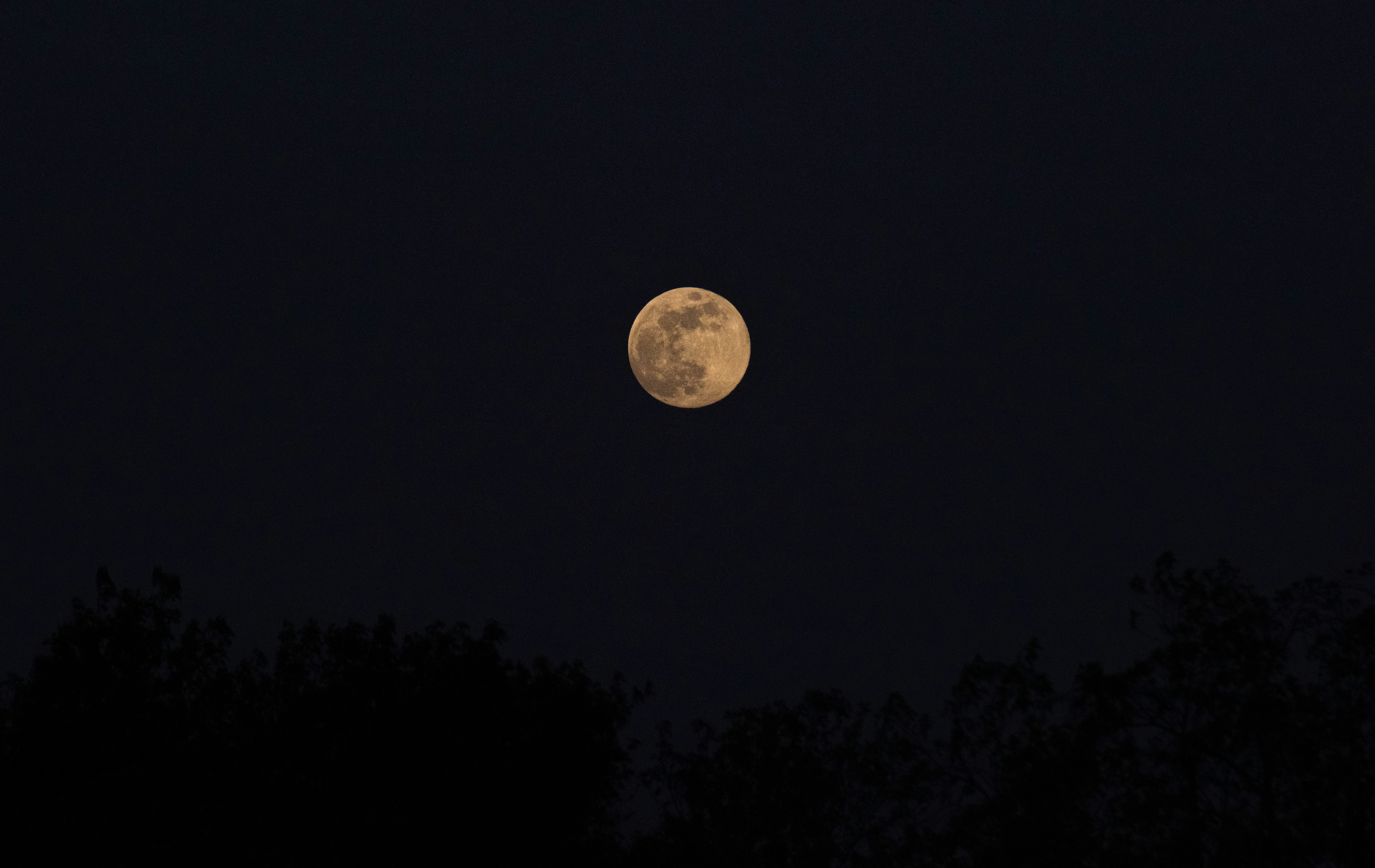 Photo by seitamaaphotography