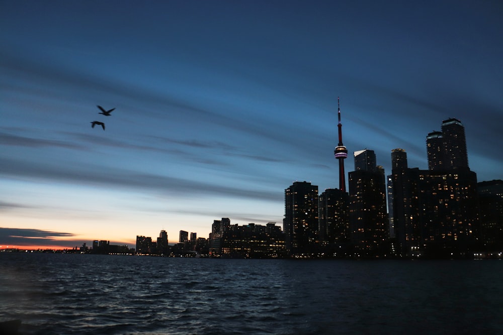 high rise buildings during sunset