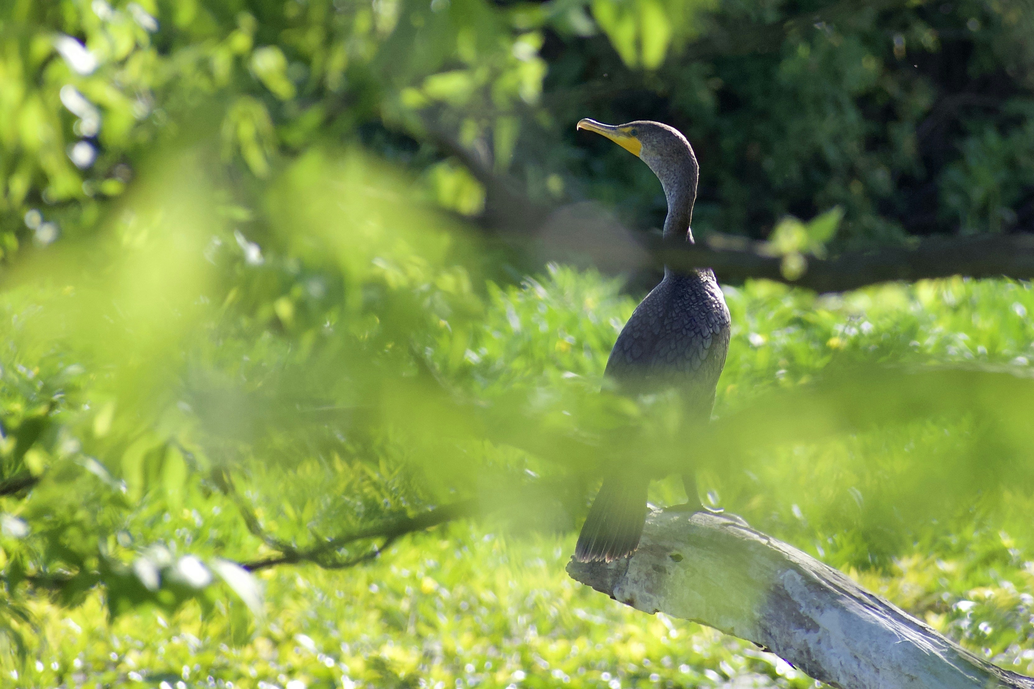 Photo by elisastonephotography