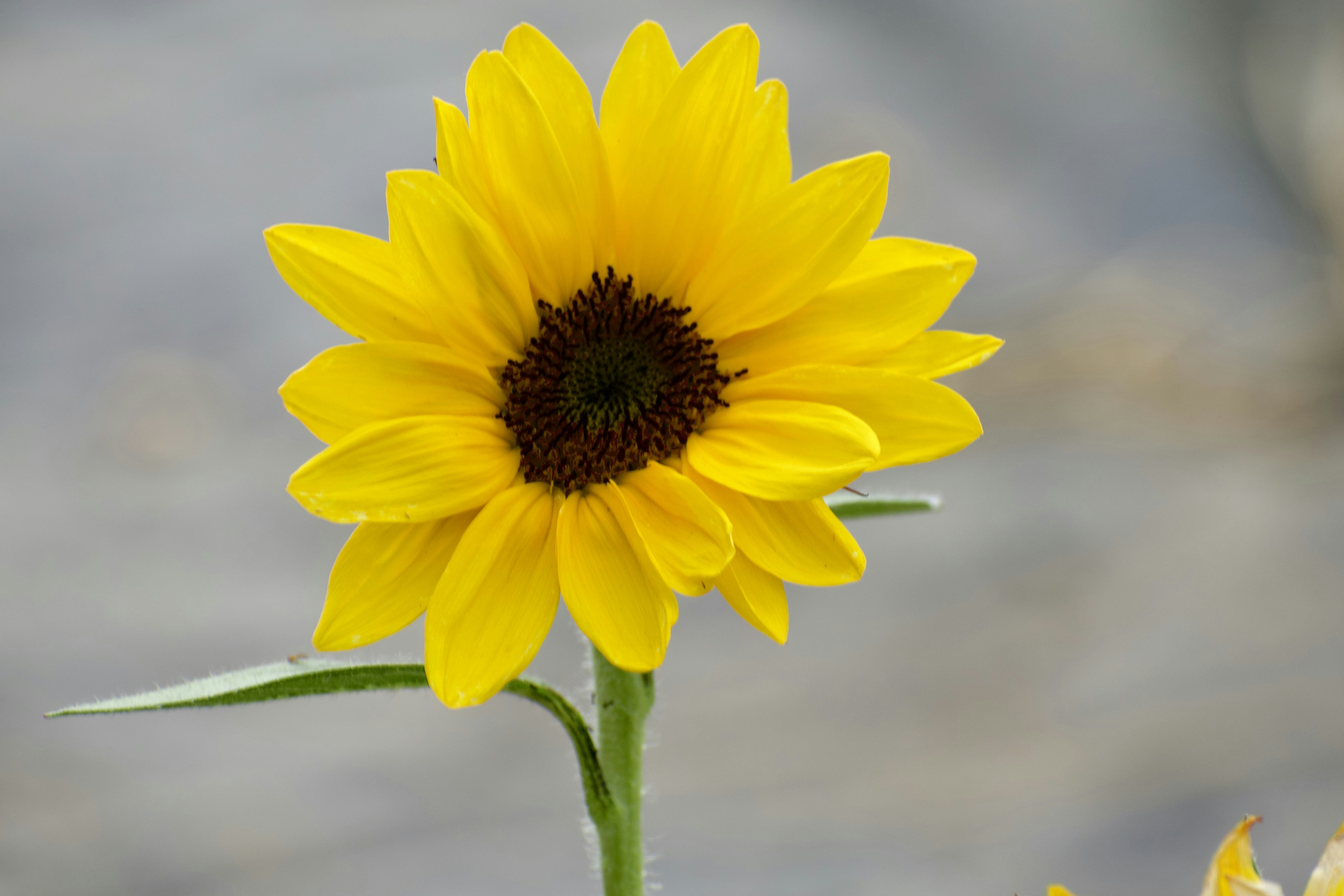 Photo by elisastonephotography